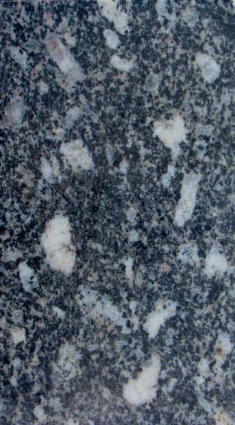 Granito tigrato bianco (esemplare)