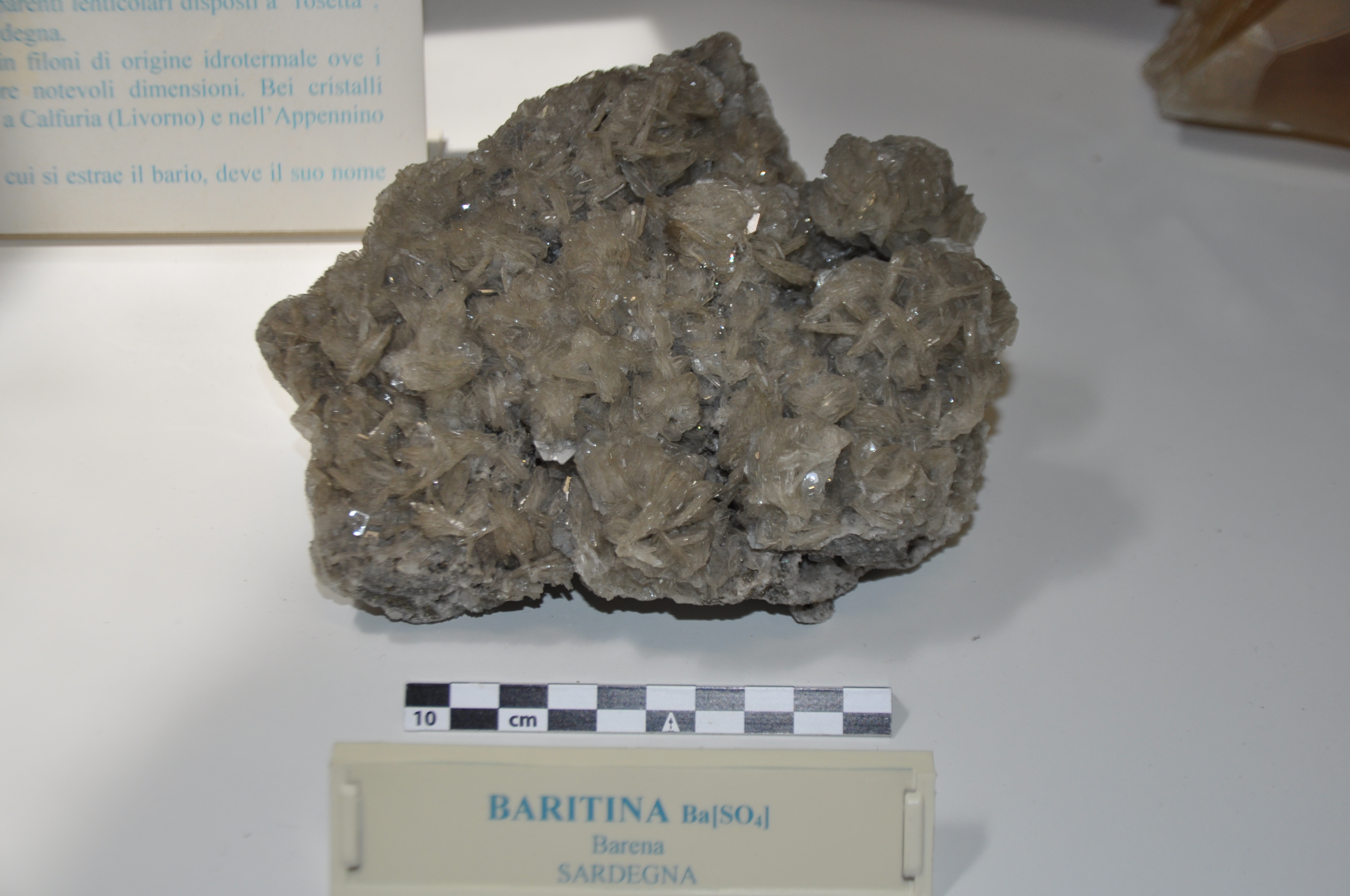 baritina (esemplare)