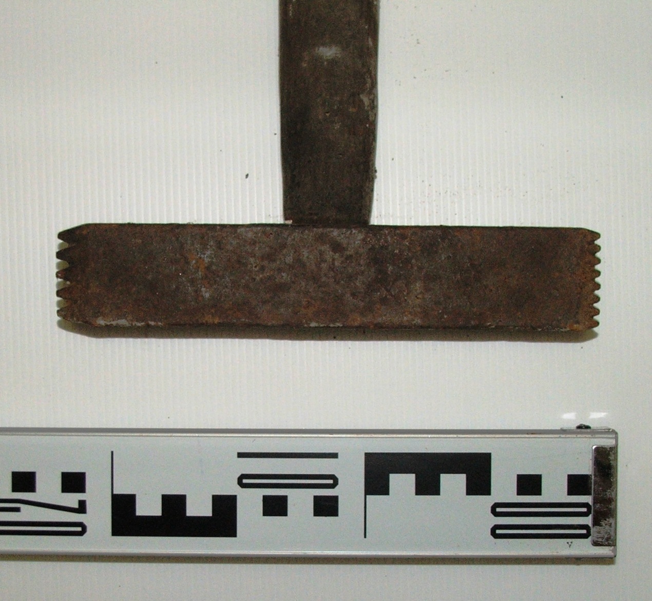 bocciarda (sec. XVII)