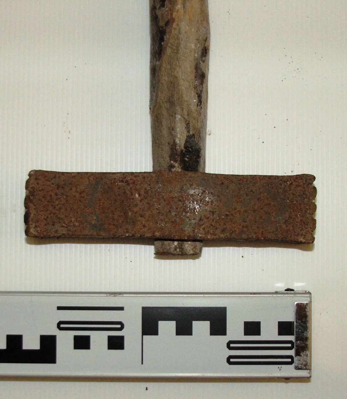 bocciarda (sec. XVII)