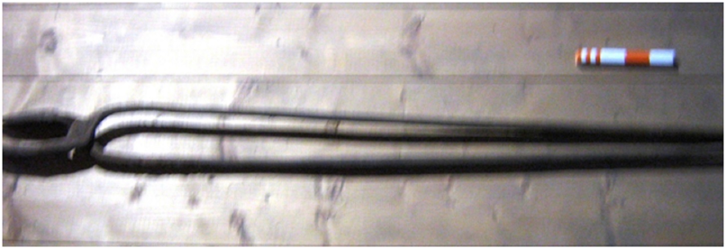 cavaino - Ferriera di Ronciglione (sec. XVIII post)