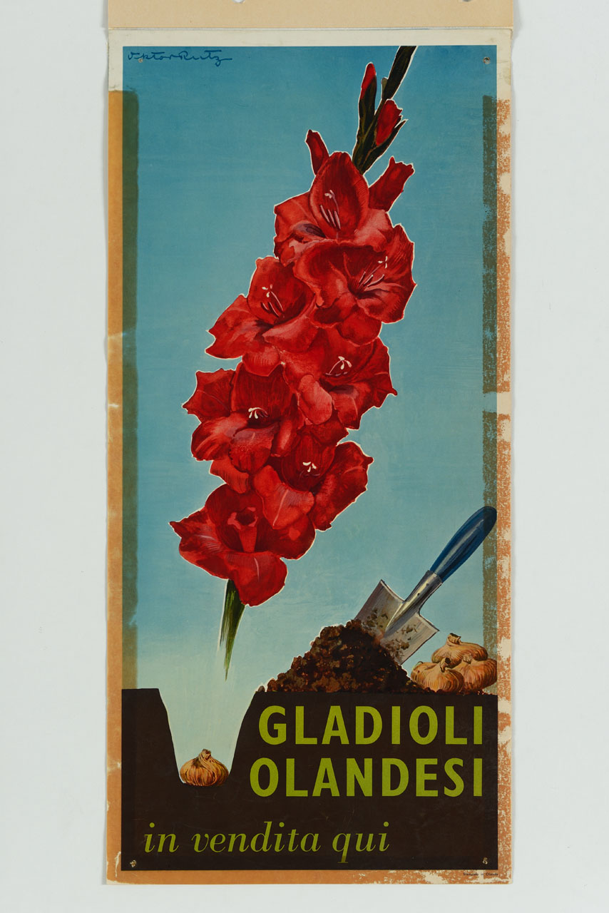 buca in terra con bulbi, paletta da giardinaggio e ramo di gladioli rossi (manifesto) di Rutz Victor (sec. XX)