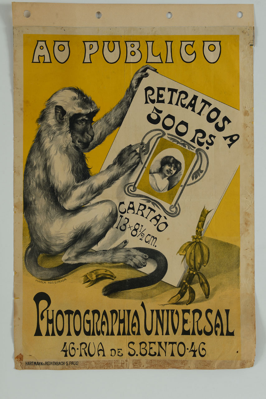 scimmia con banane osserva foto ritratto di donna (manifesto) - ambito America meridionale (sec. XX)