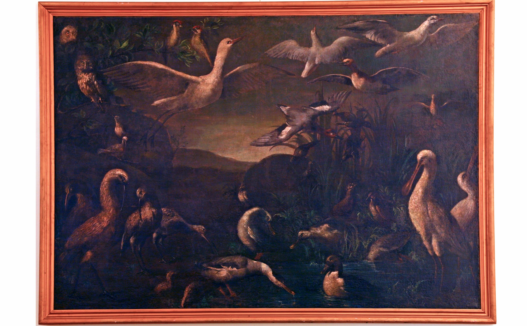 Animali acquatici, pittura di genere (dipinto) di Pietro Neri Scacciati (cerchia) (prima metà XVIII secolo)