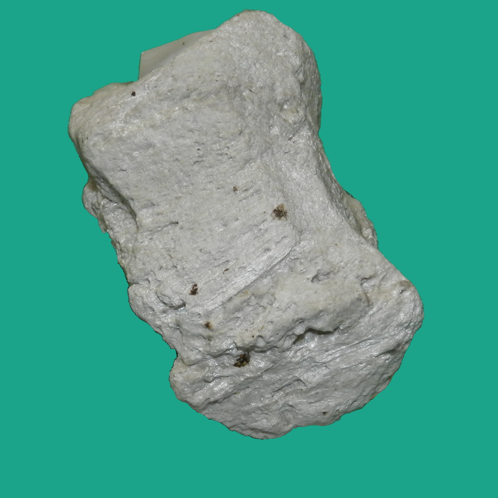 Pomice (esemplare)