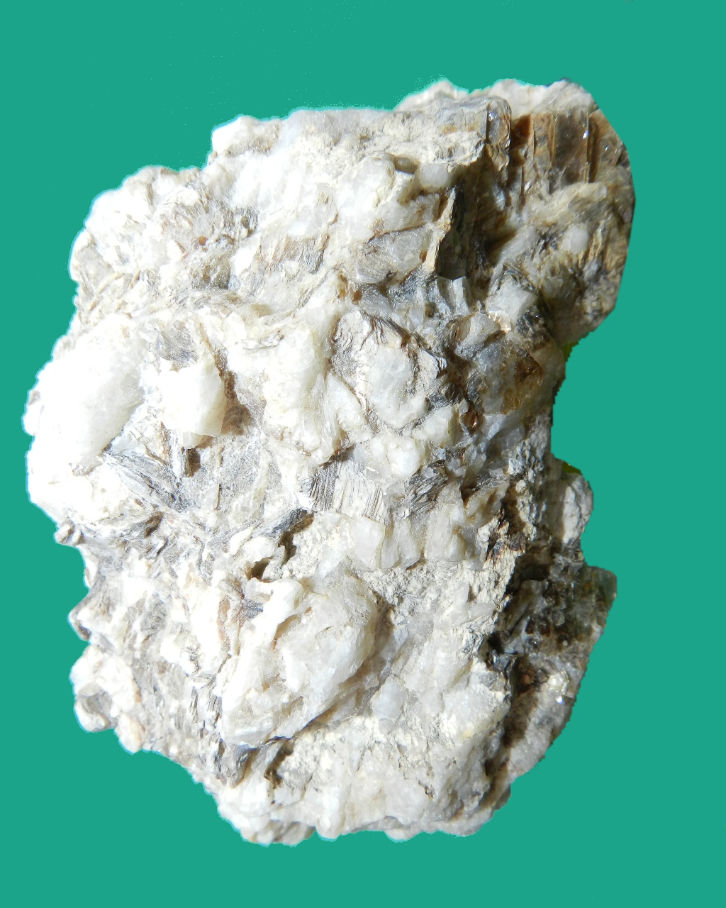 Scisto (esemplare)