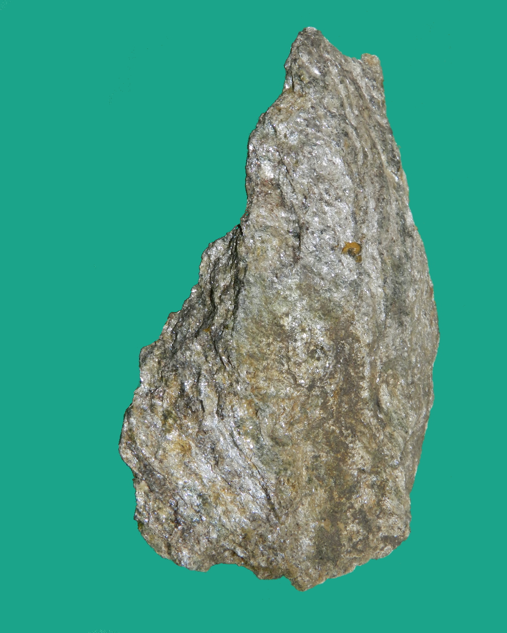Scisto (esemplare)