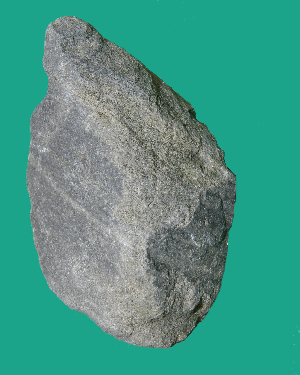 Scisto (esemplare)
