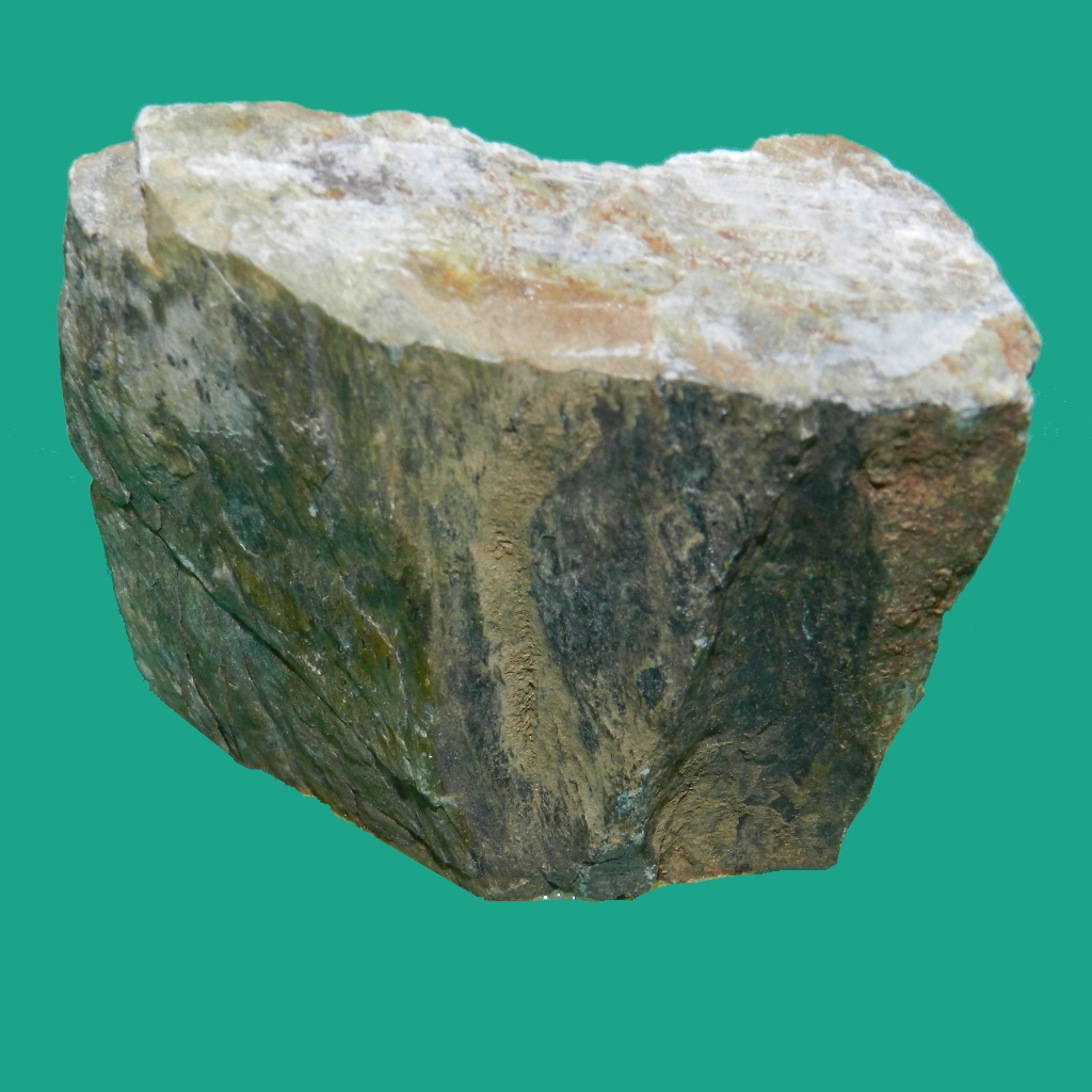 Serpentina (esemplare)