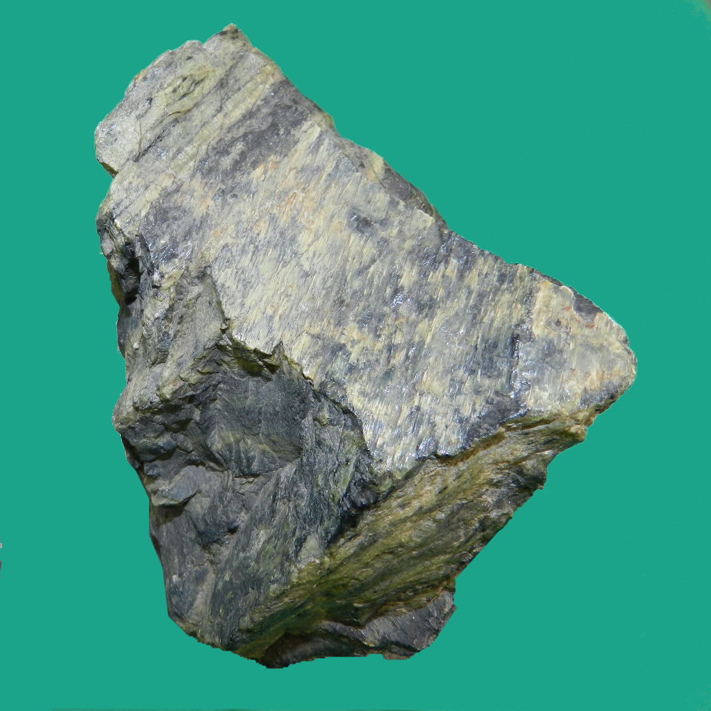 Serpentina nera (esemplare)