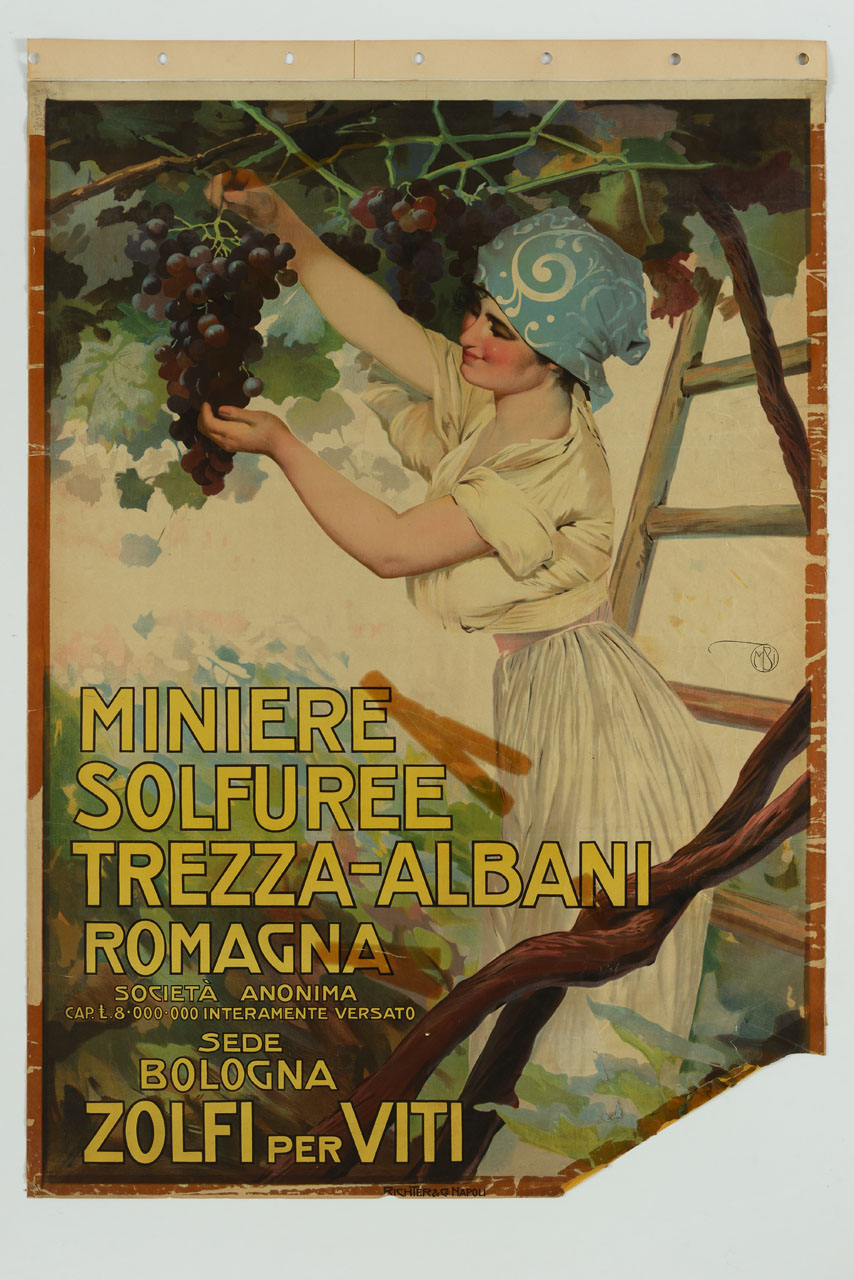 giovane donna sotto una pergola coglie un grappolo d'uva (manifesto) di Borgoni Mario (sec. XX)
