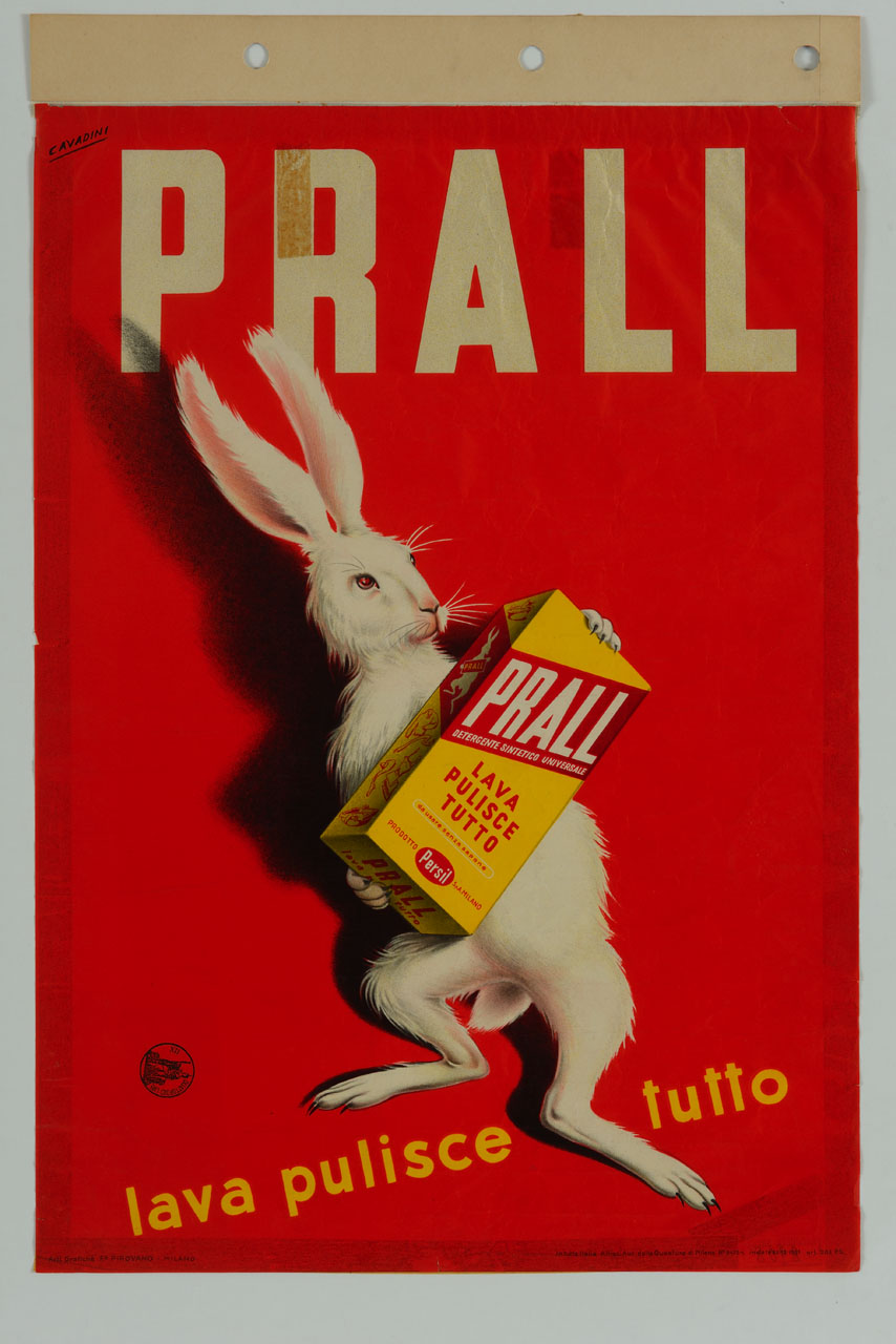 coniglio bianco tine con le zampe anteriori una scatola di detergente (manifesto) di Cavadini Alfredo (sec. XX)