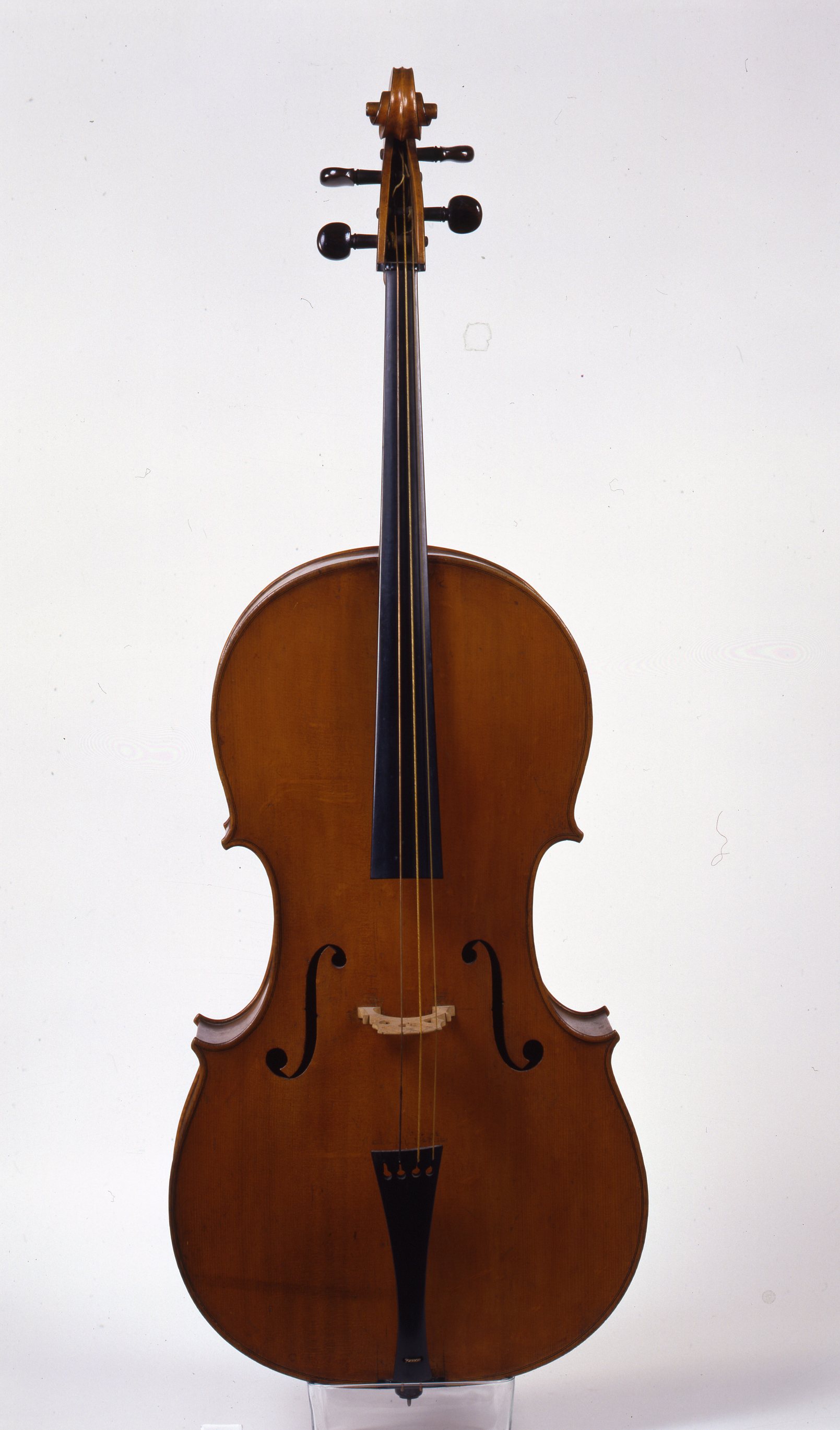 violoncello di Piattellini Gasparo (attribuito) (sec. XVIII)