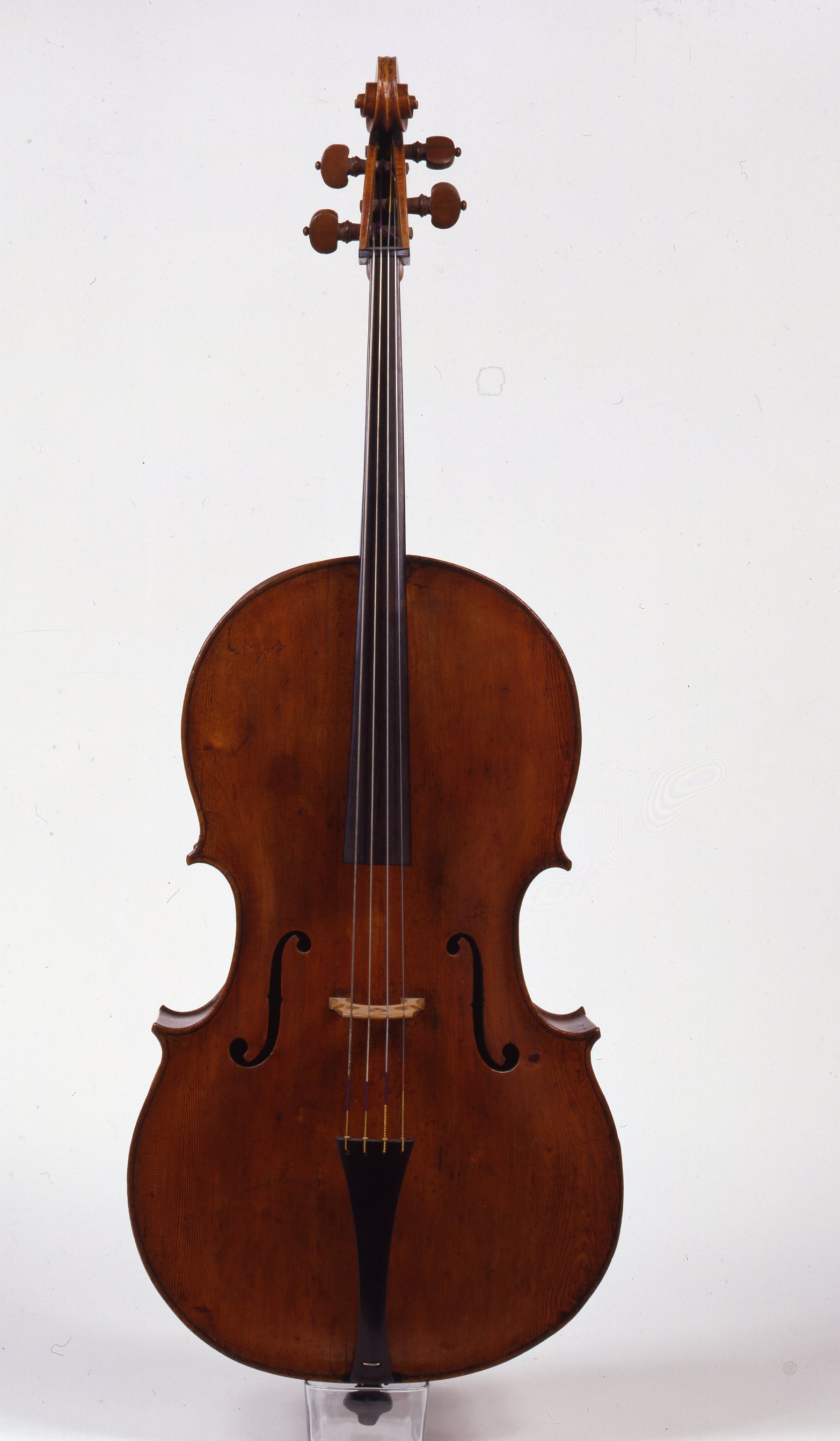 violoncello di Senta Fabrizio (attribuito) (sec. XVII)