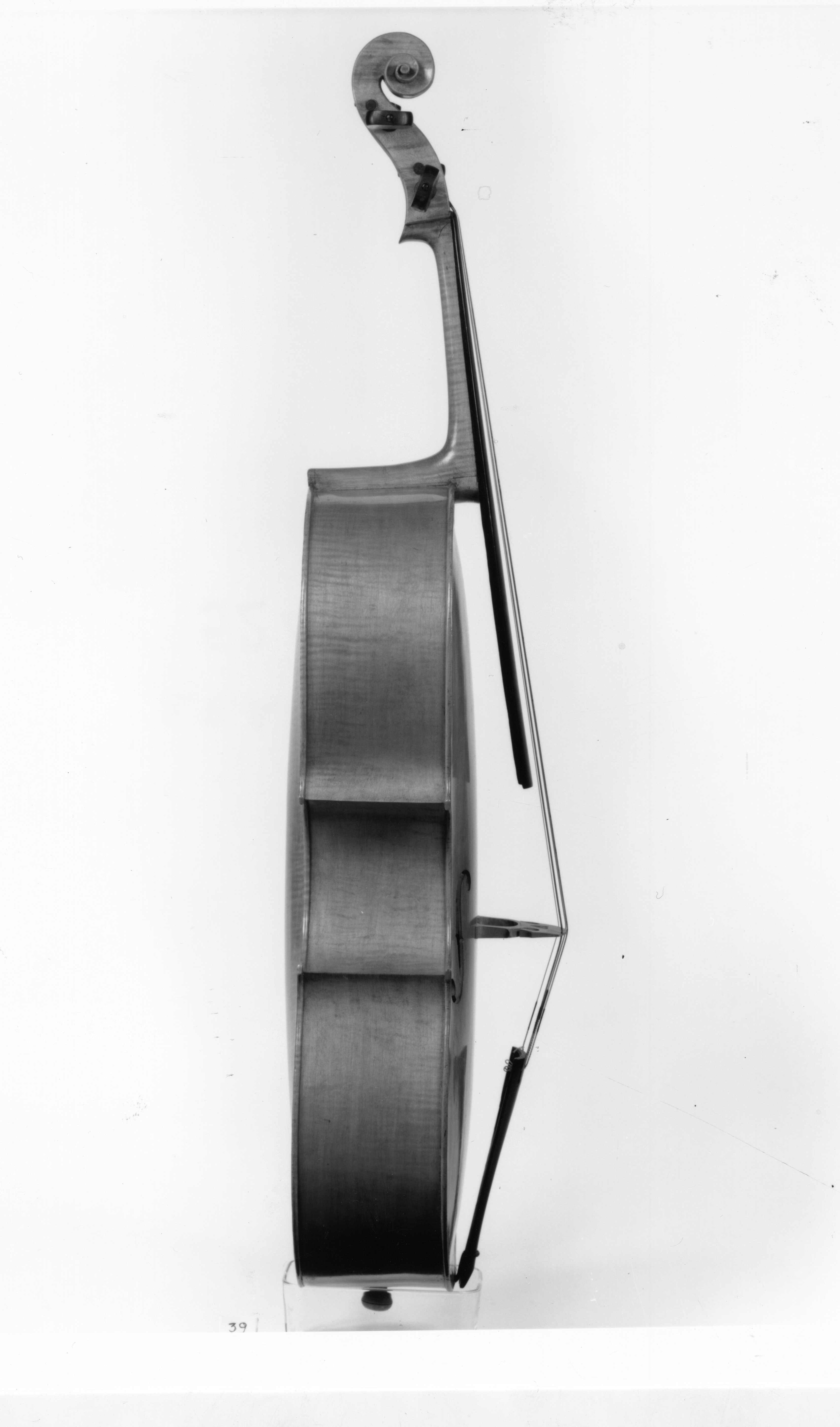 violoncello di Doni Rocco Domenico (fine sec. XVII)