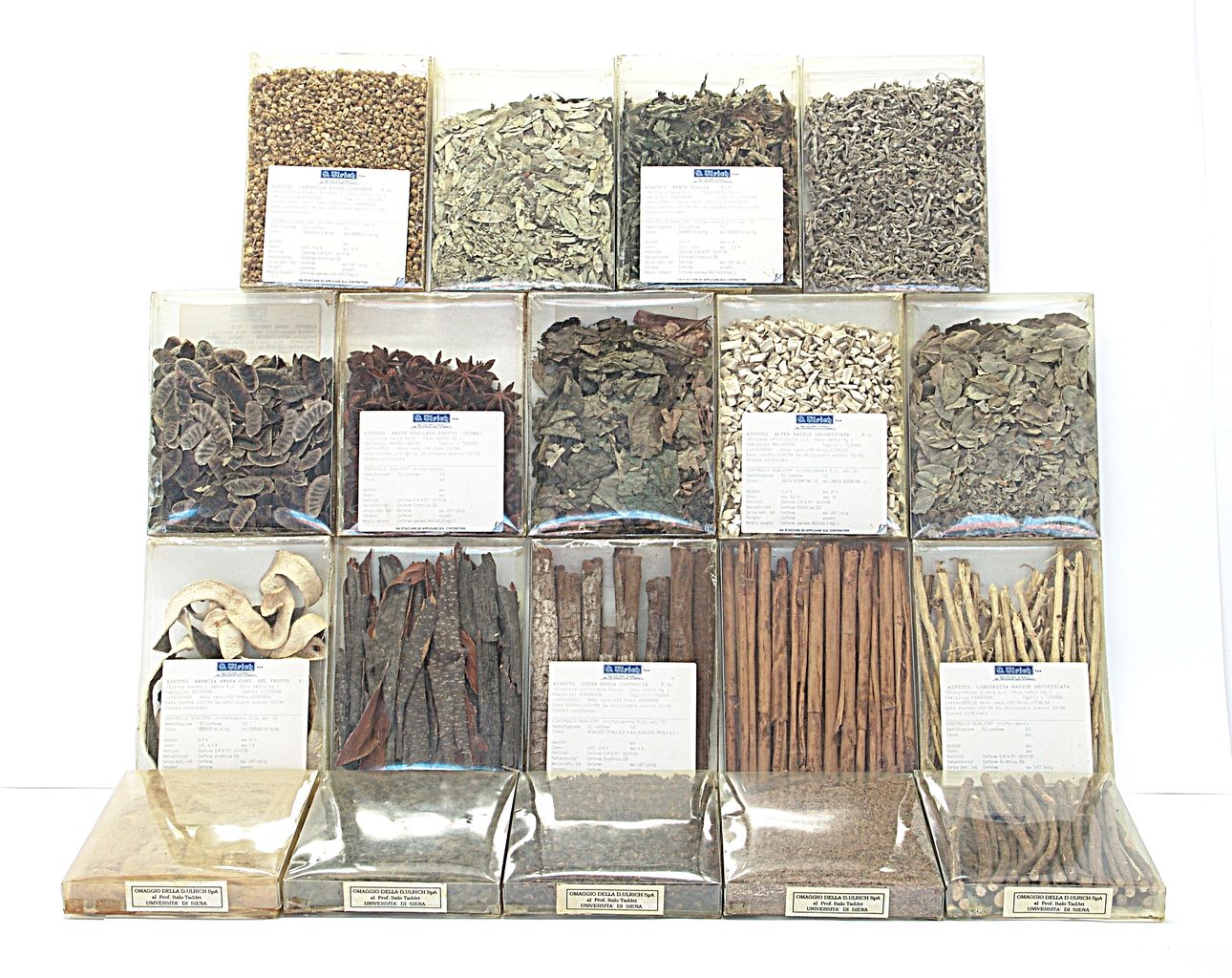 scatola, con essenze essiccate (sec. XX)