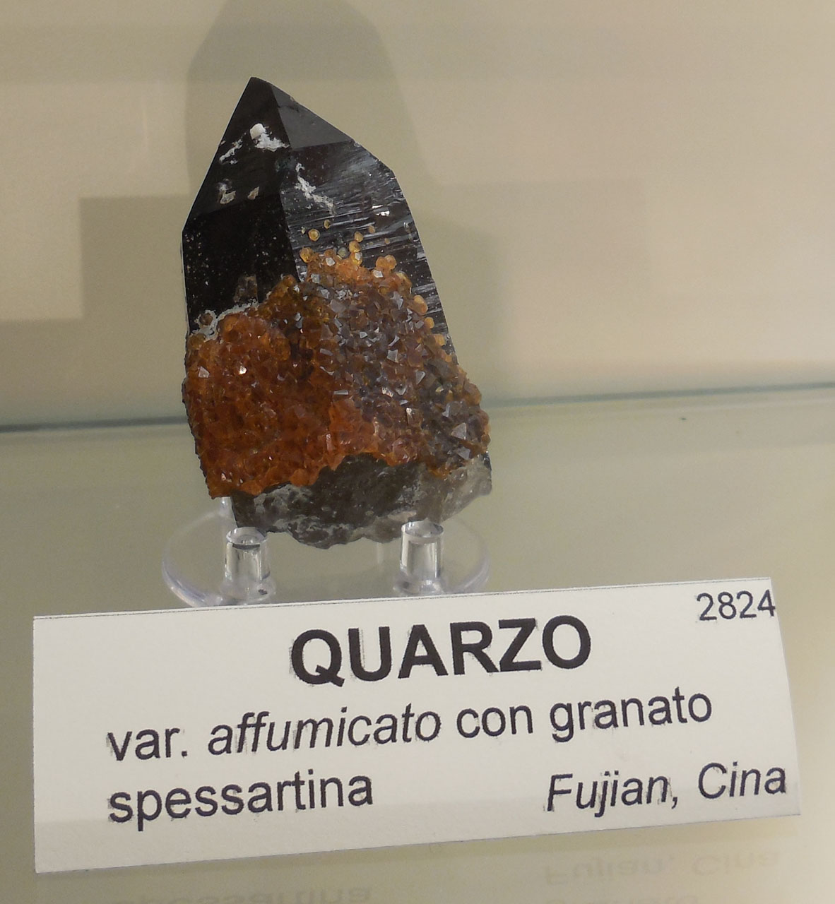 Quarzo (esemplare)