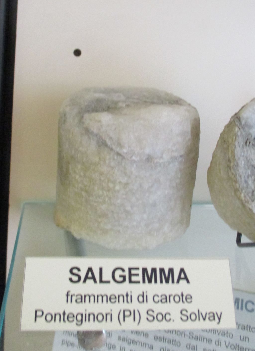Salgemma (esemplare)