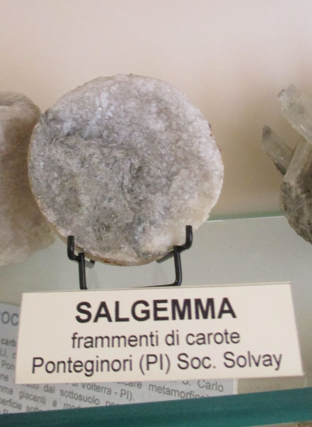 Salgemma (esemplare)