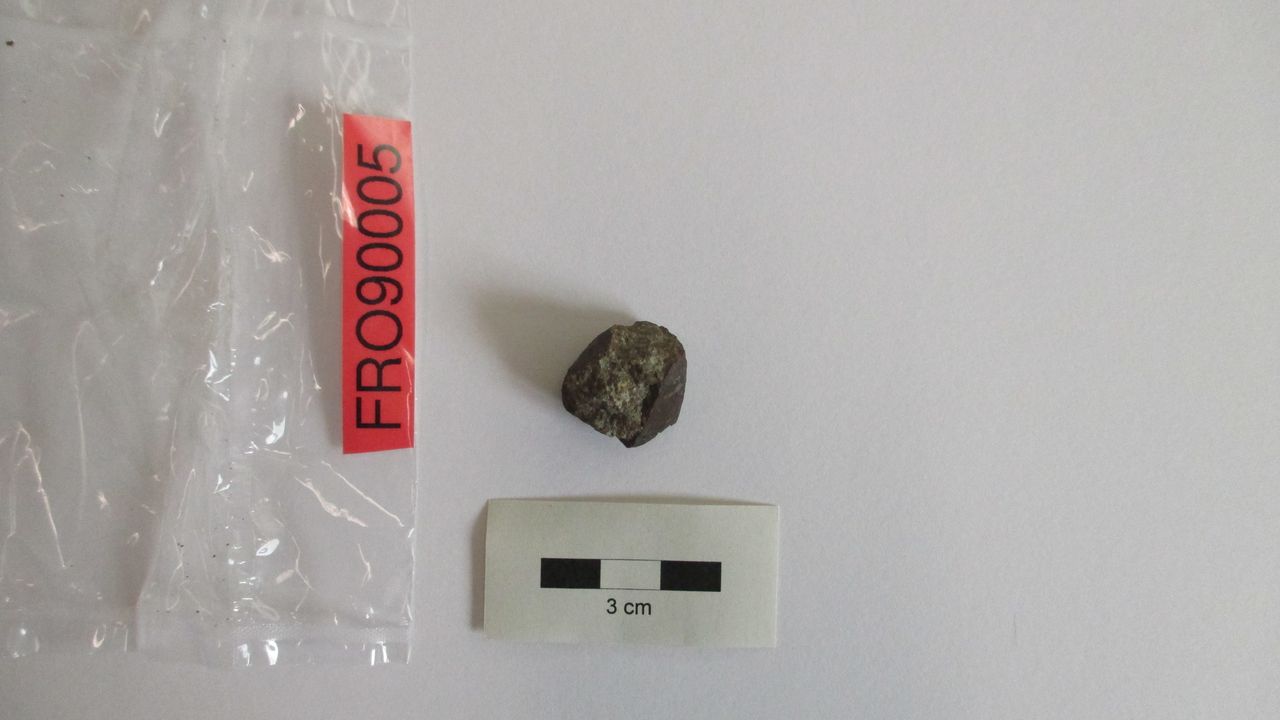 Condrite ordinaria (esemplare)