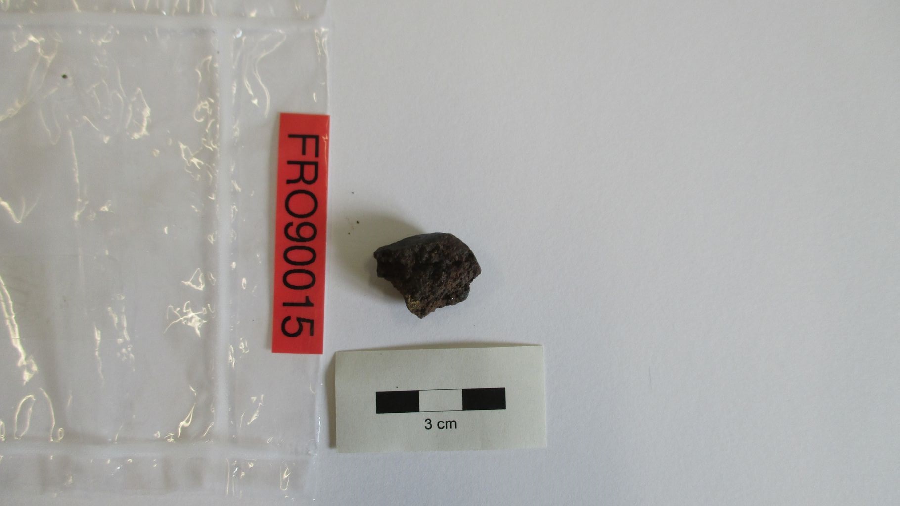 Condrite ordinaria (esemplare)