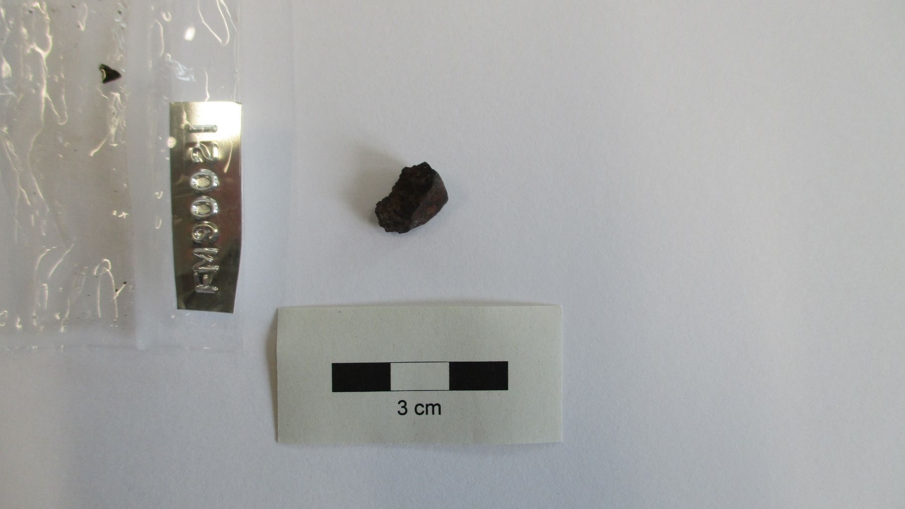 Condrite ordinaria (esemplare)