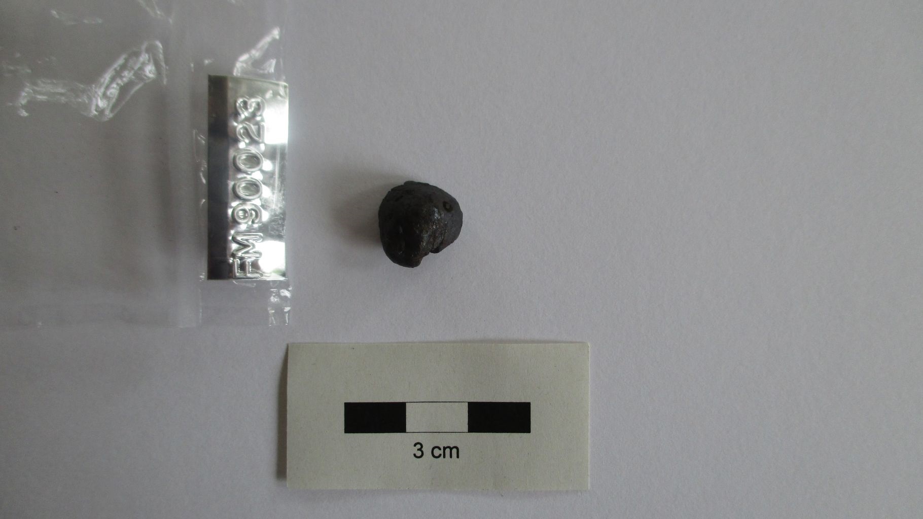 Condrite ordinaria (esemplare)