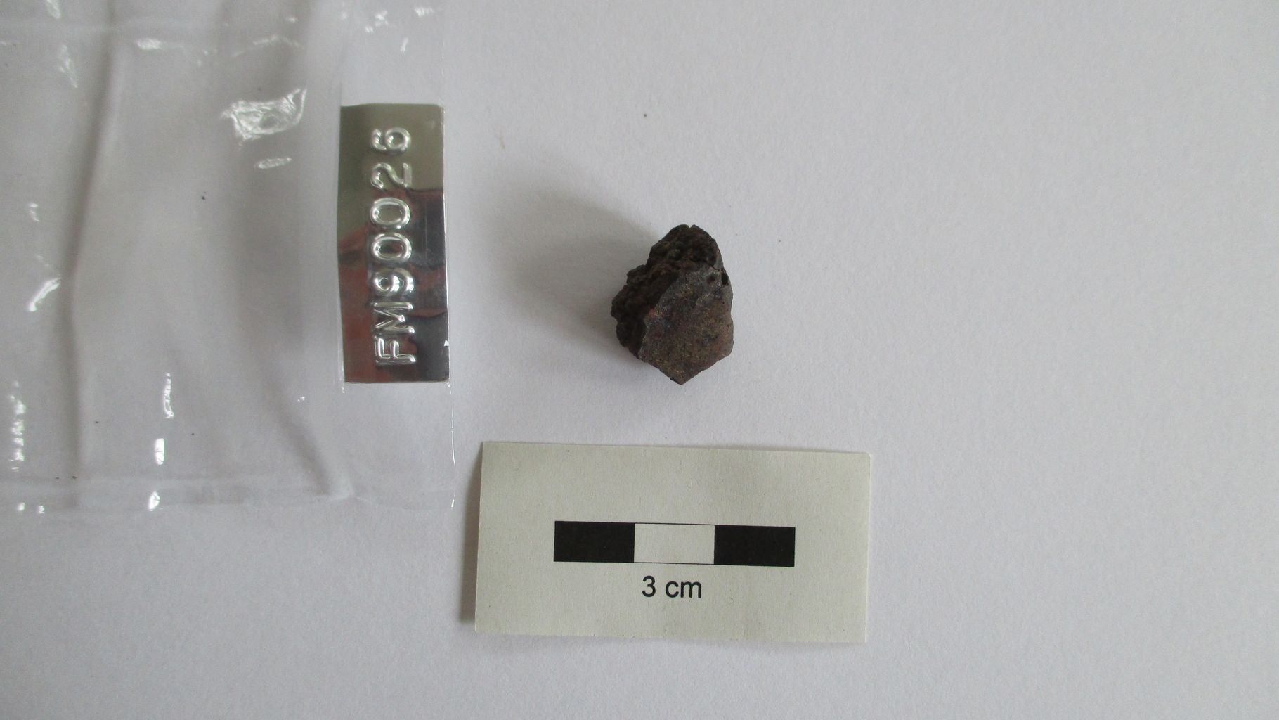 Condrite ordinaria (esemplare)