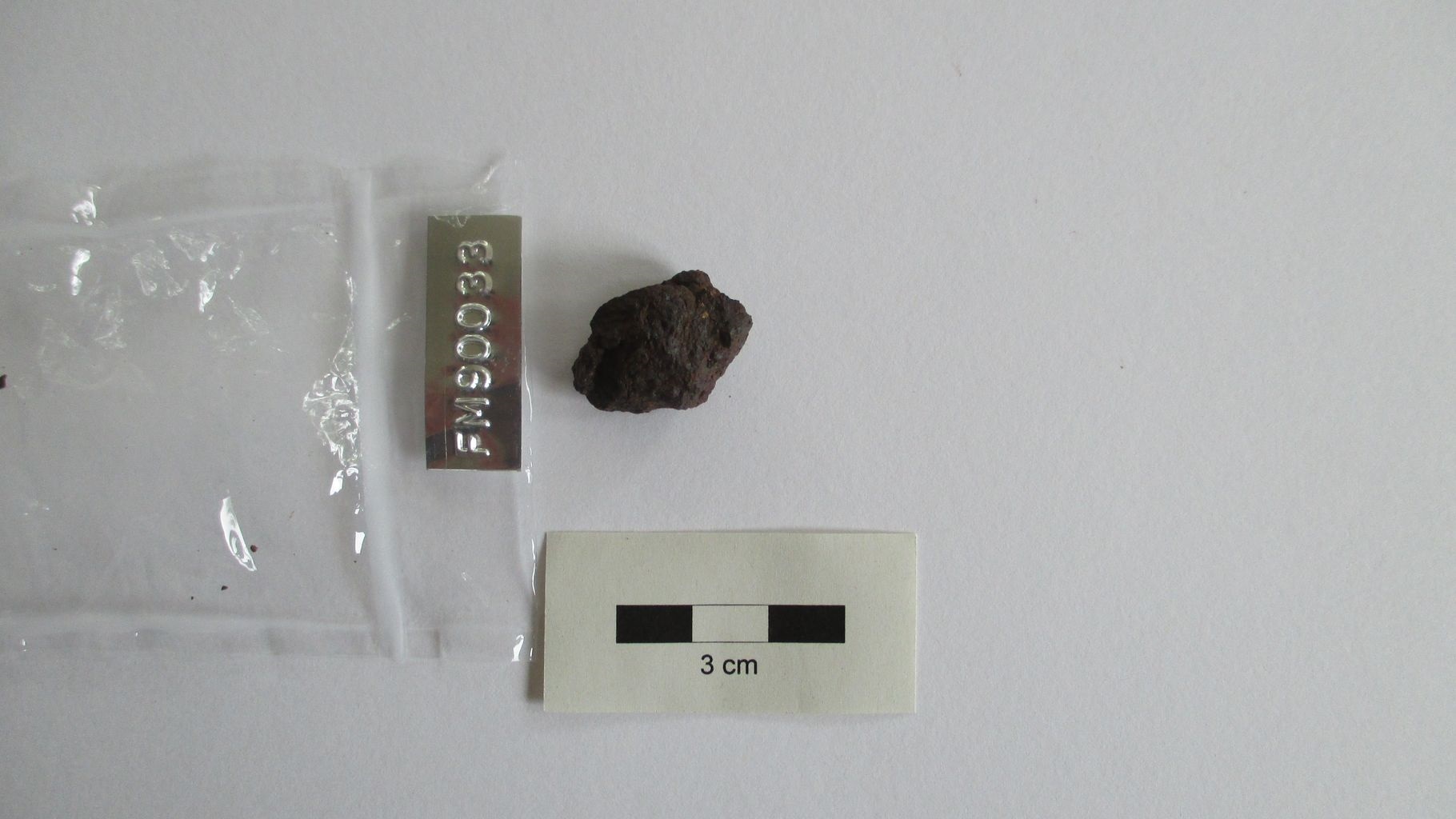 Condrite ordinaria (esemplare)