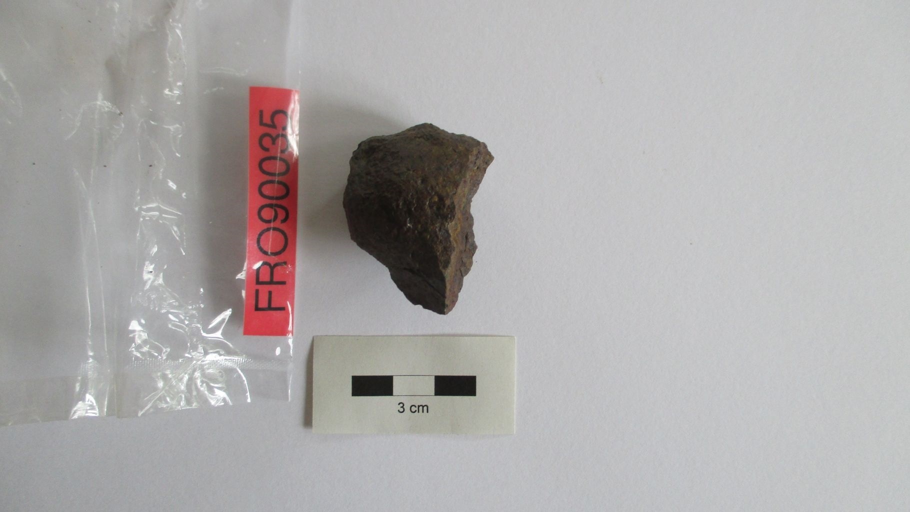 Condrite ordinaria (esemplare)