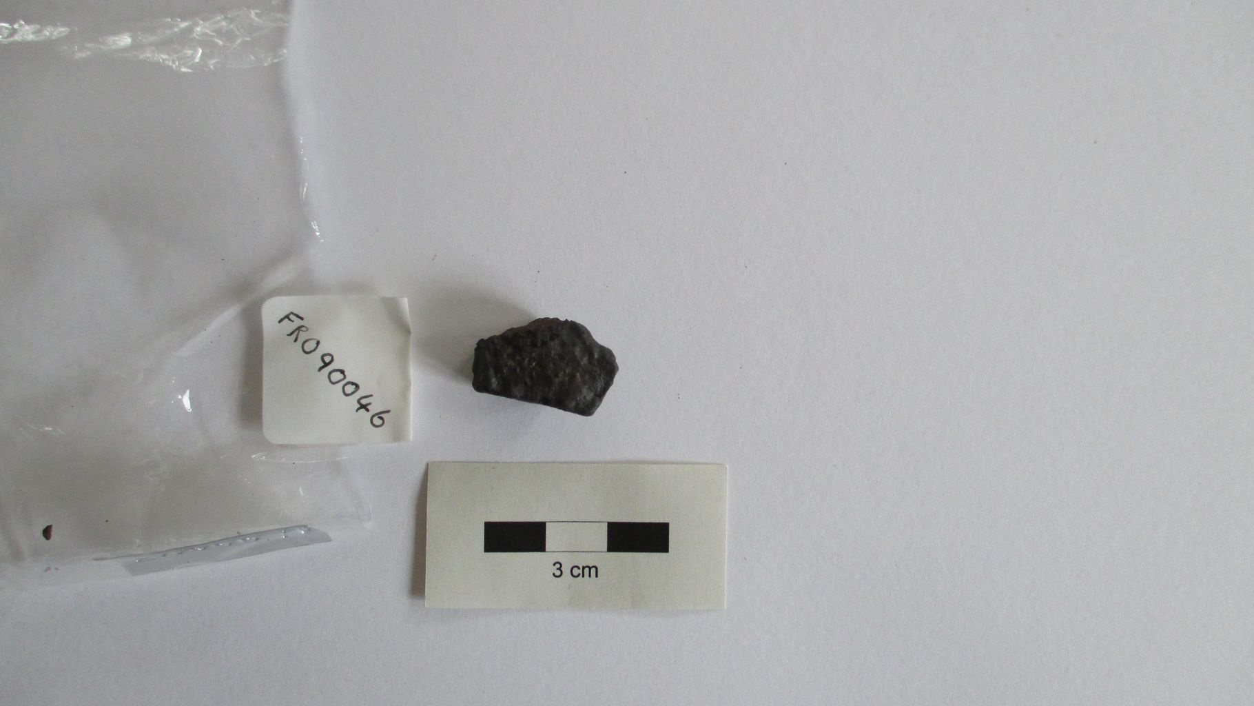 Condrite ordinaria (esemplare)