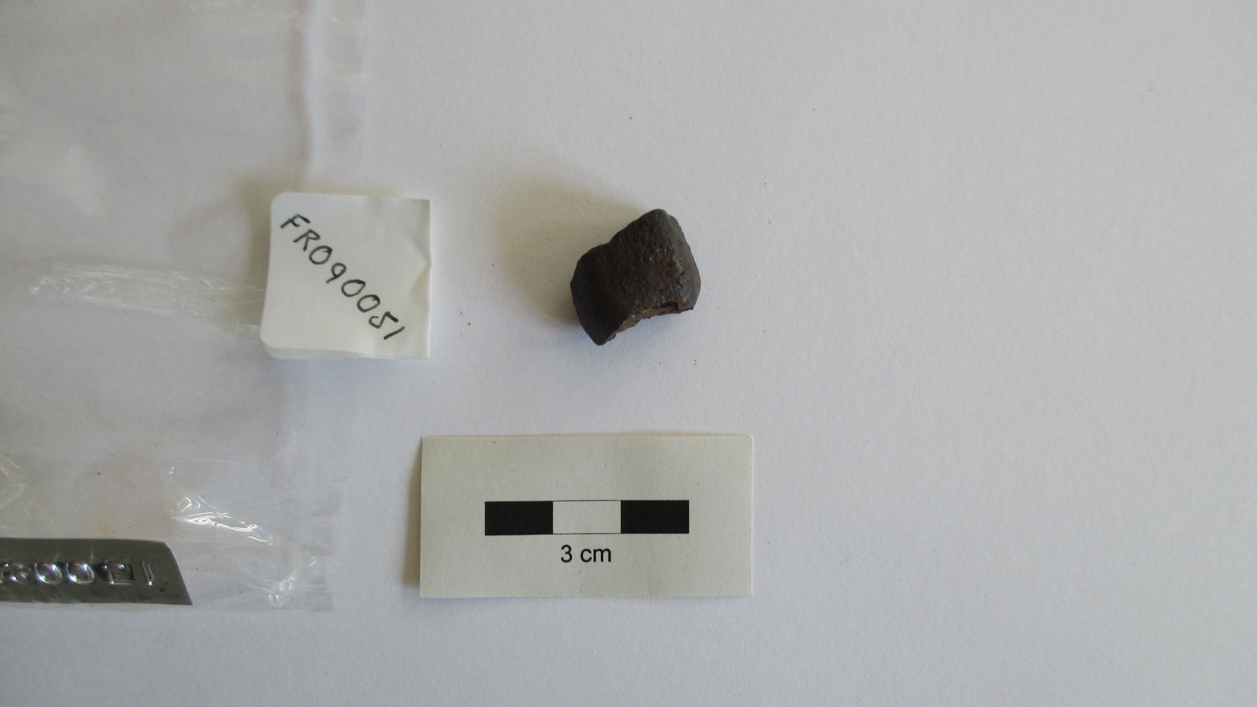 Condrite ordinaria (esemplare)