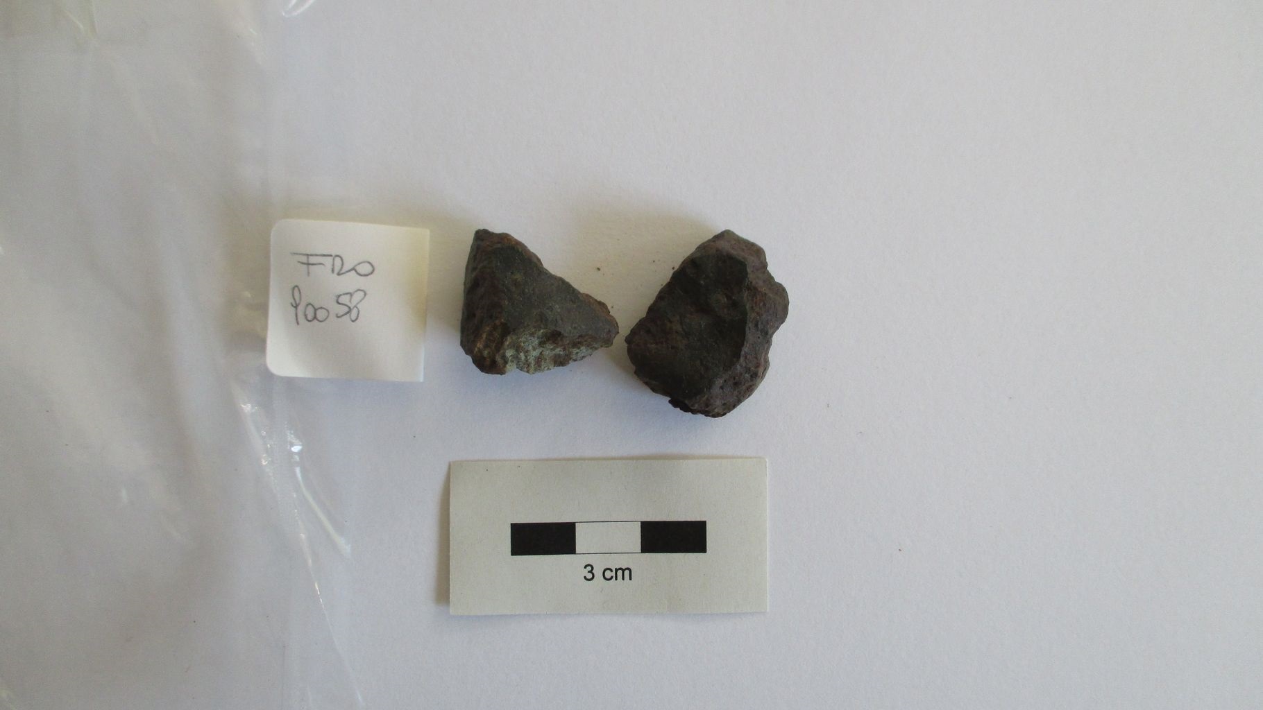 Condrite ordinaria (esemplare)