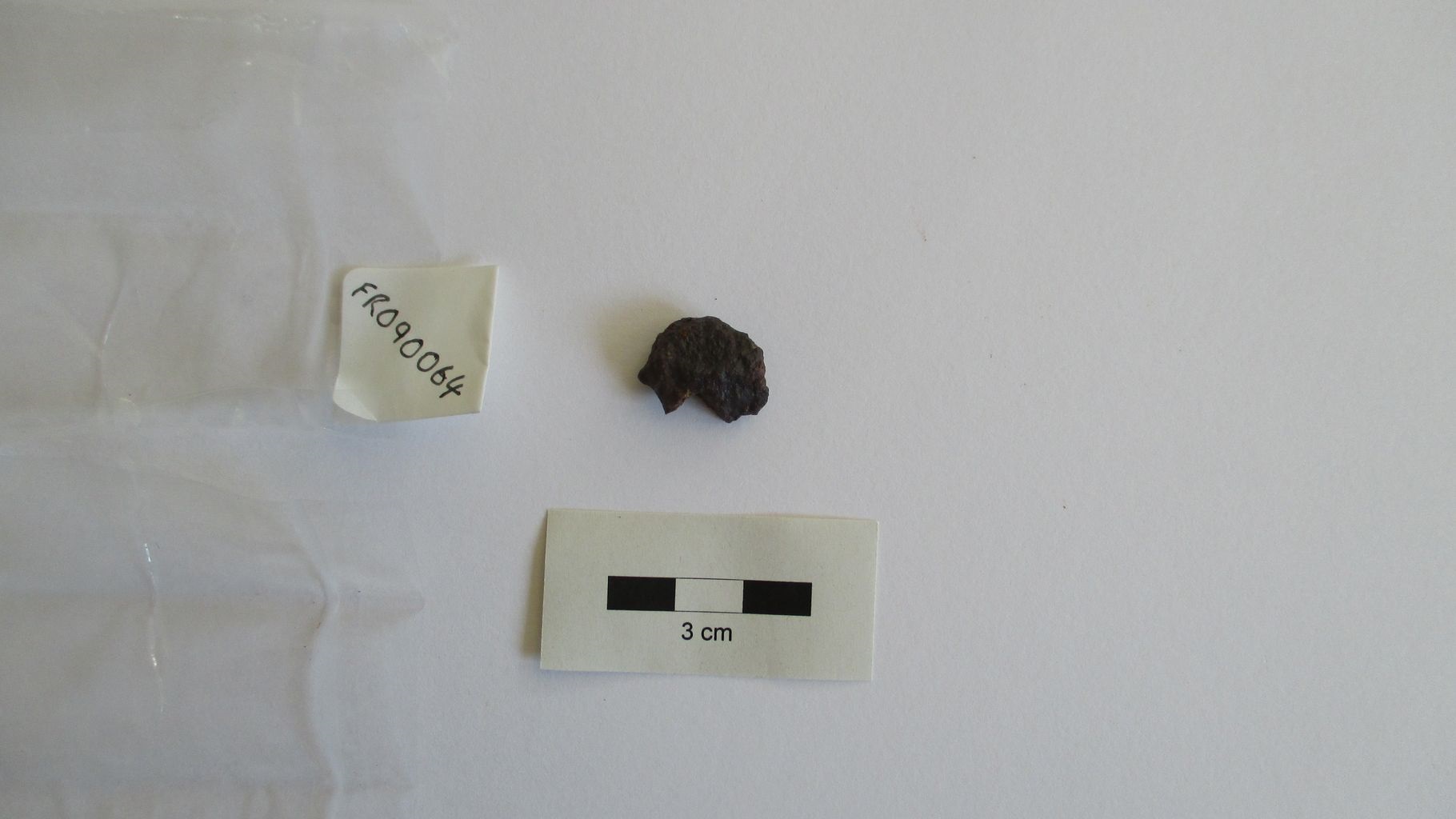 Condrite ordinaria (esemplare)