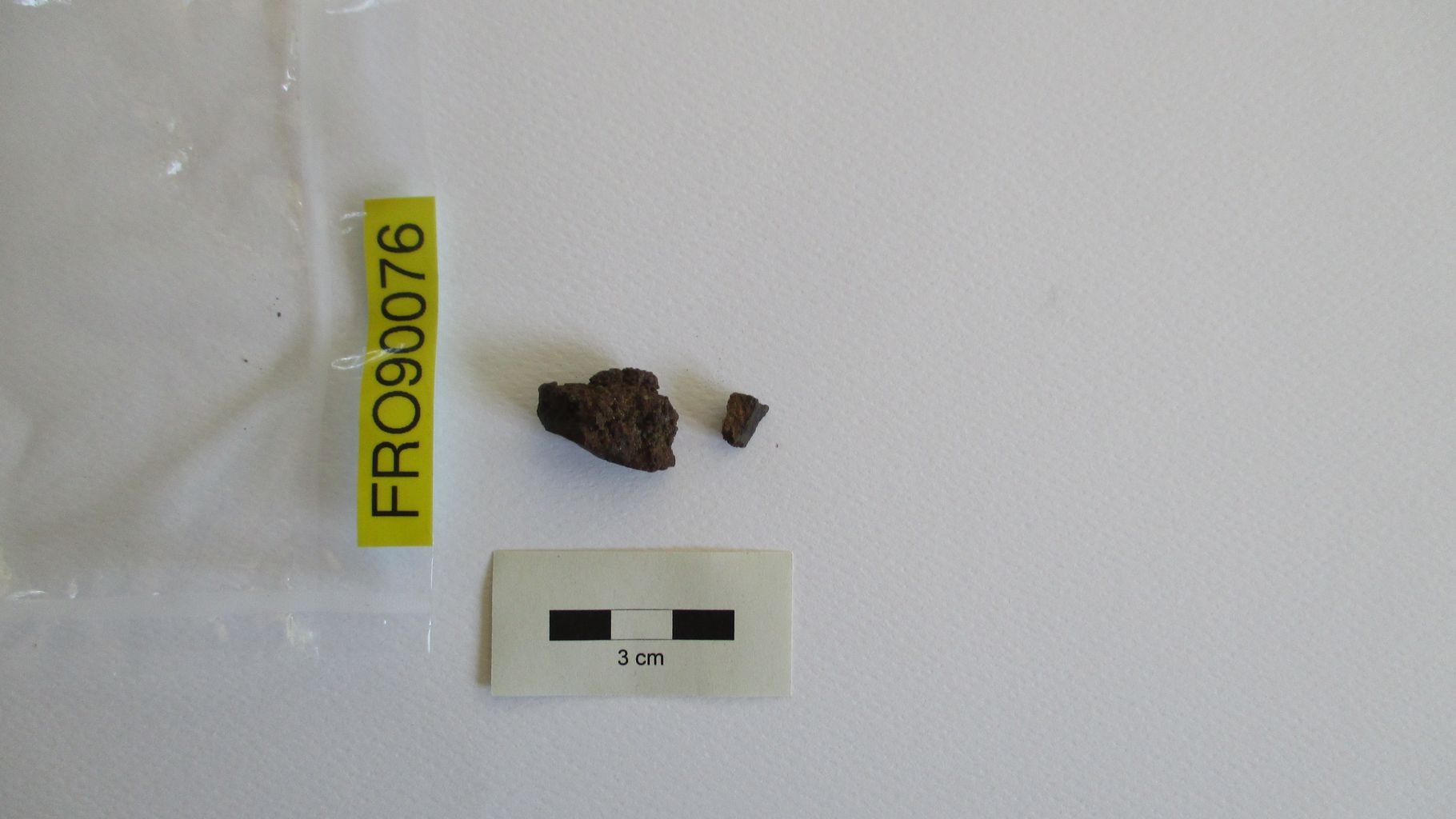 Condrite ordinaria (esemplare)