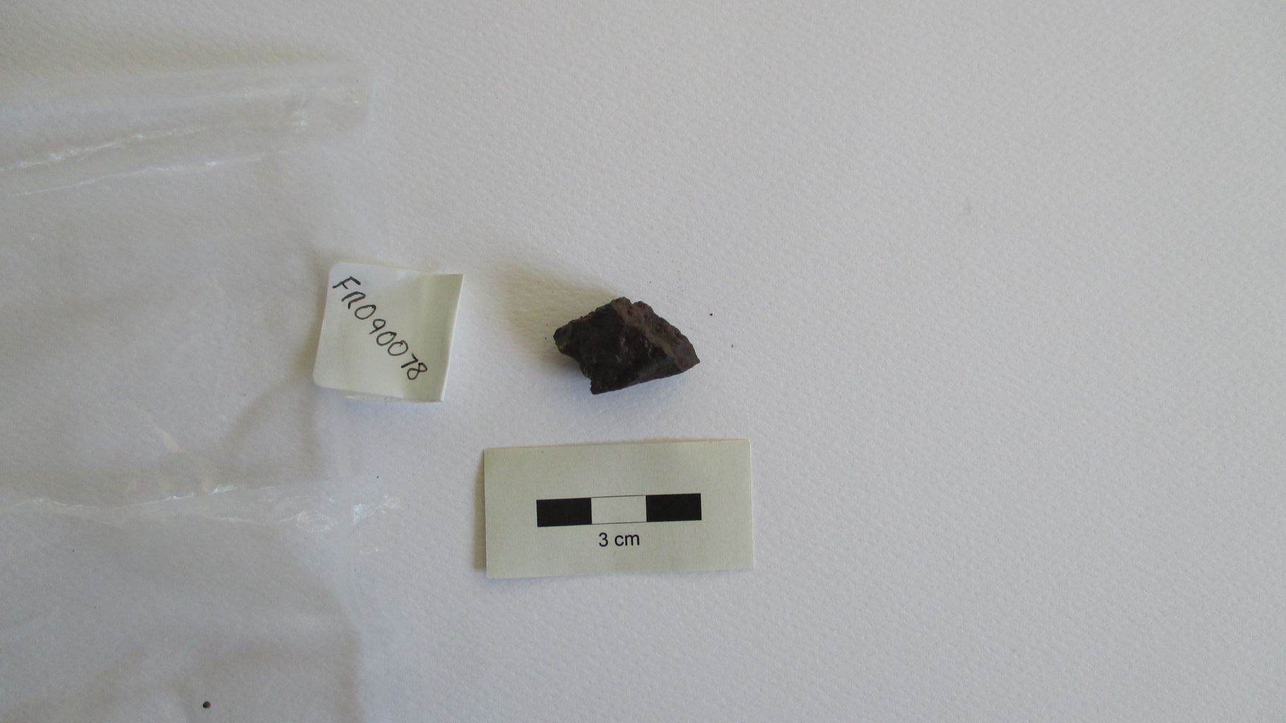 Condrite ordinaria (esemplare)