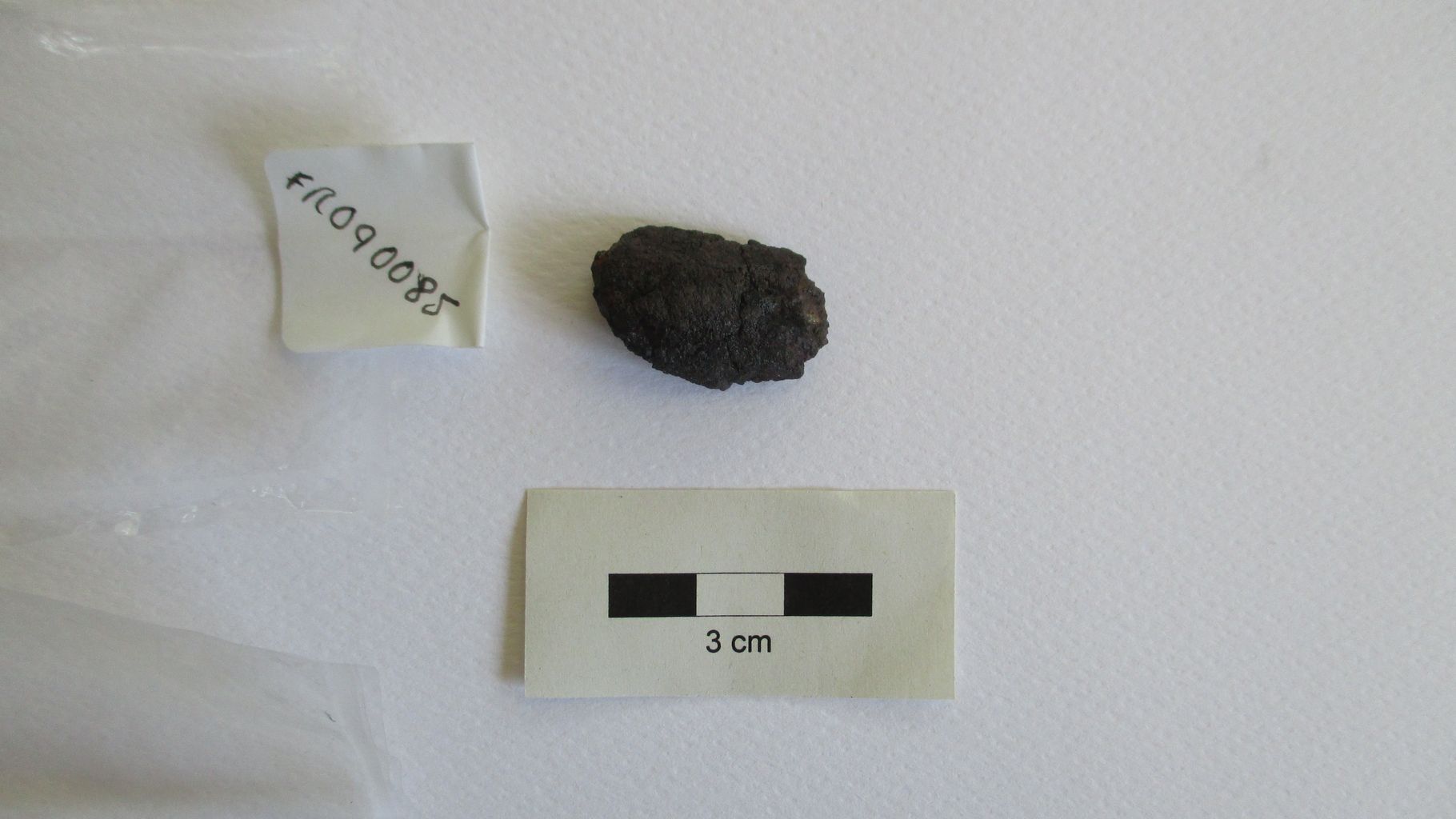 Condrite ordinaria (esemplare)