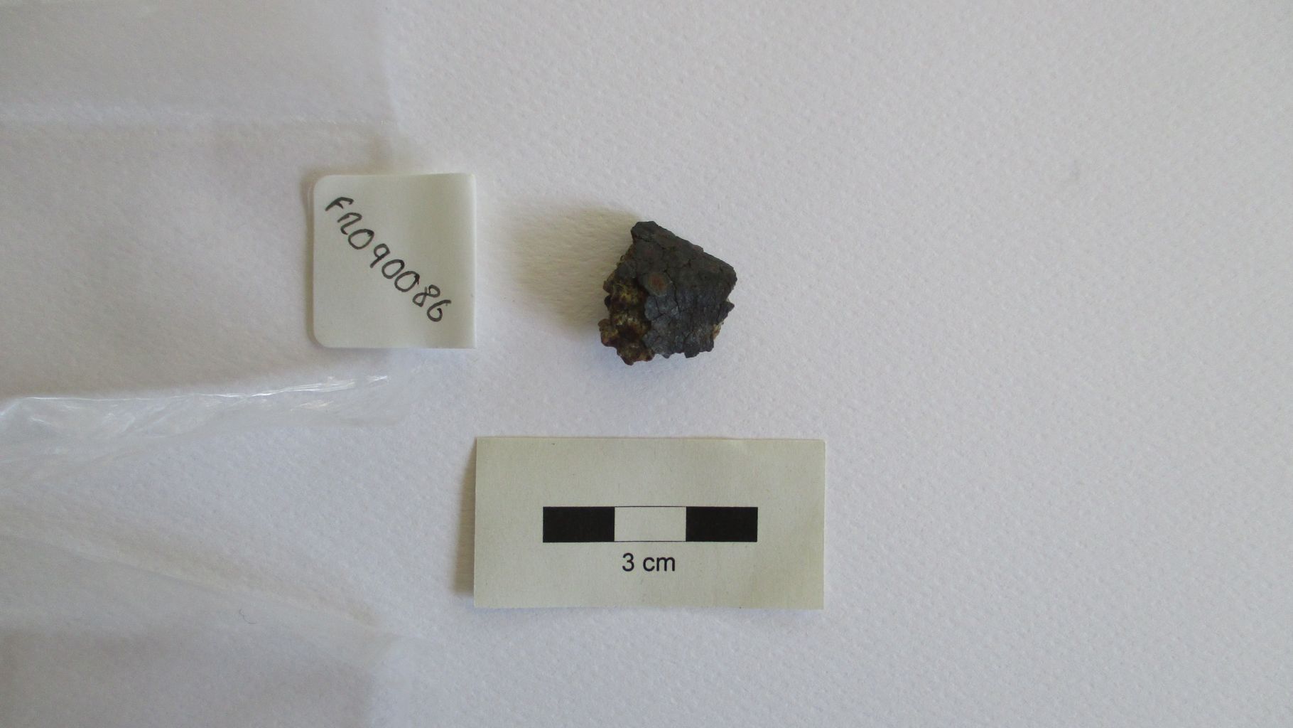 Condrite ordinaria (esemplare)