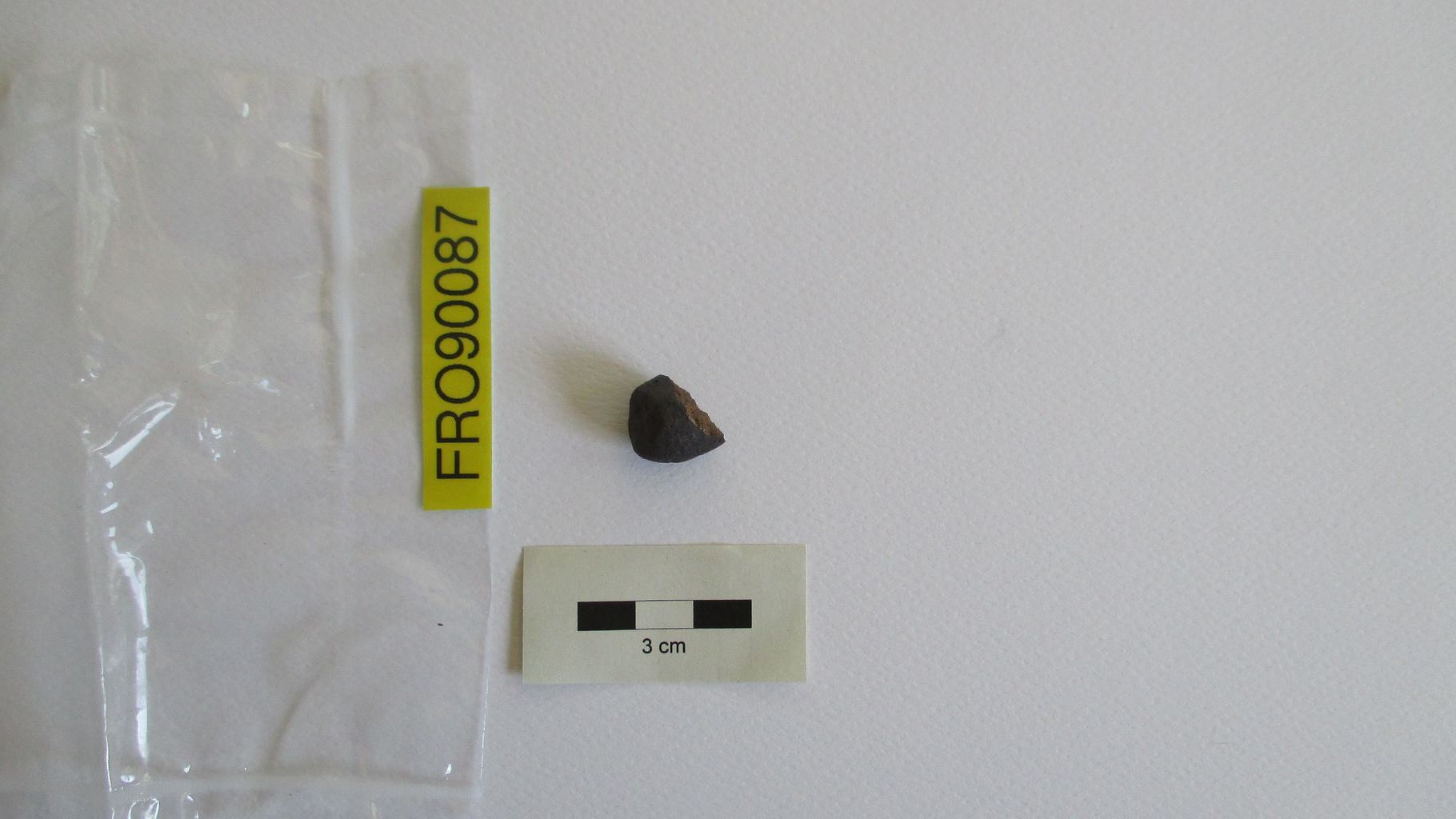 Condrite ordinaria (esemplare)