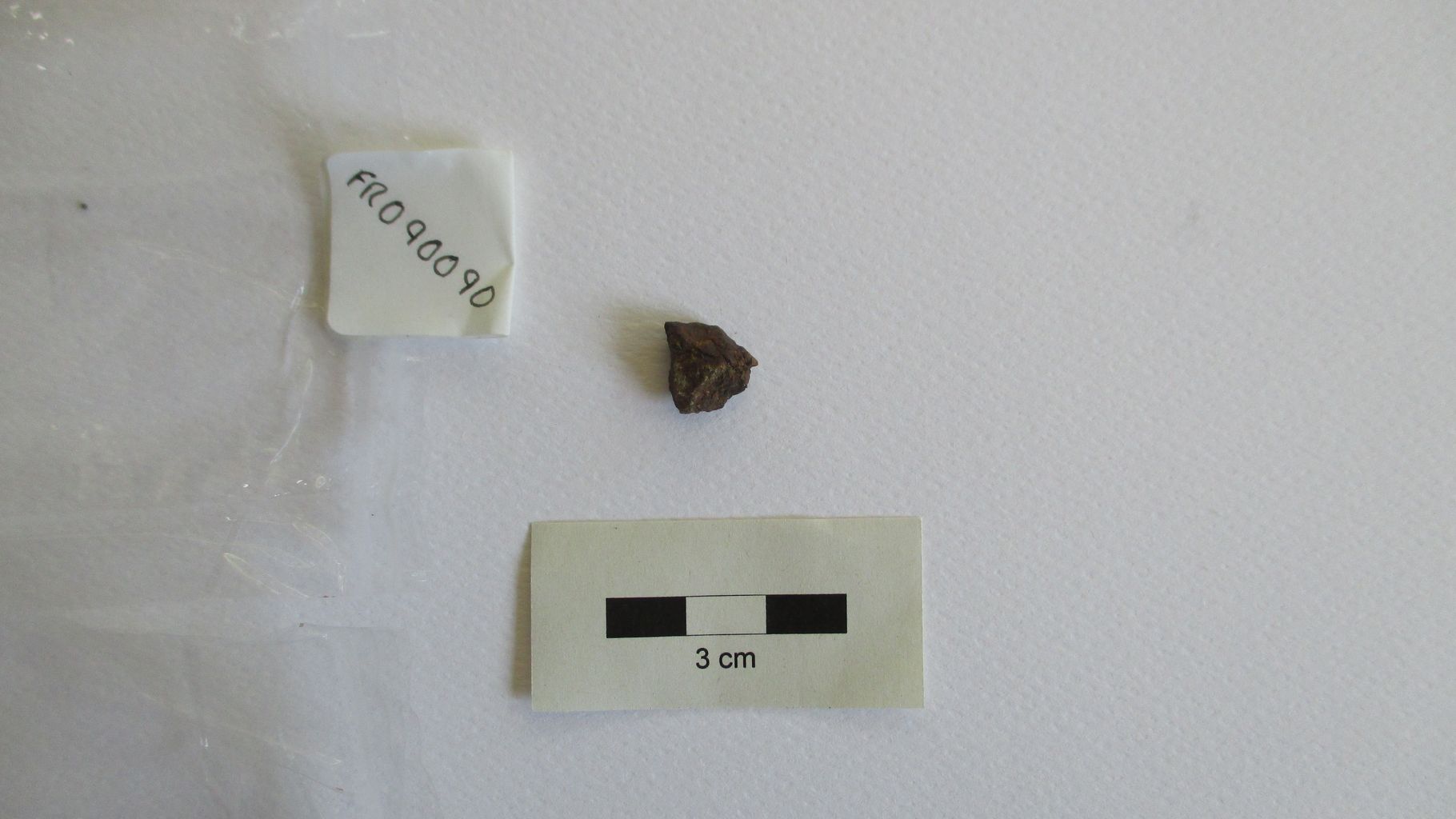 Condrite ordinaria (esemplare)