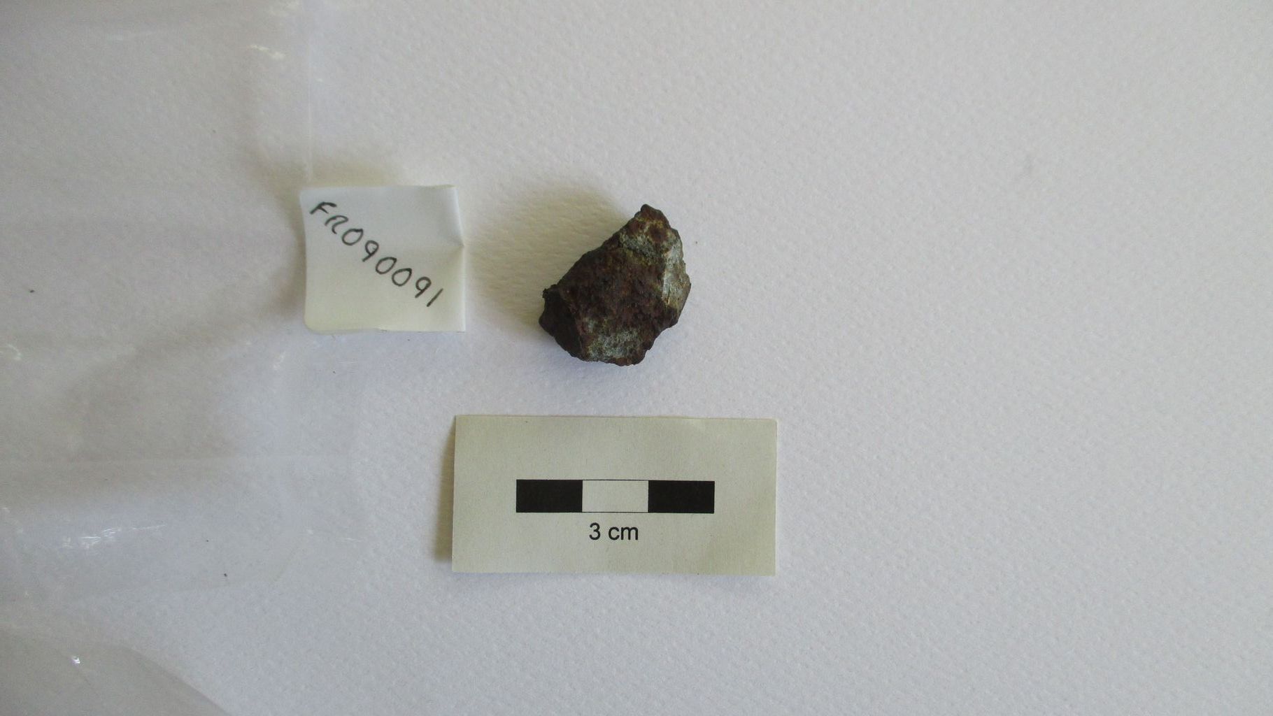 Condrite ordinaria (esemplare)