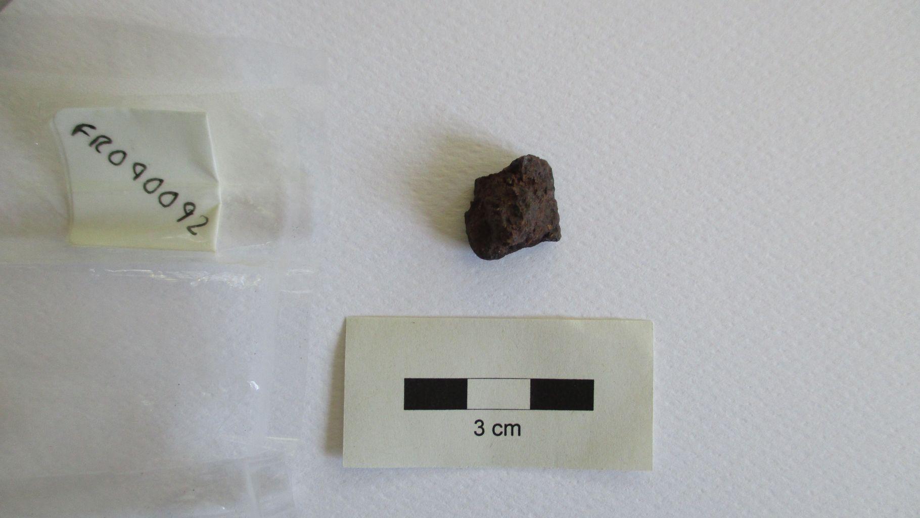 Condrite ordinaria (esemplare)