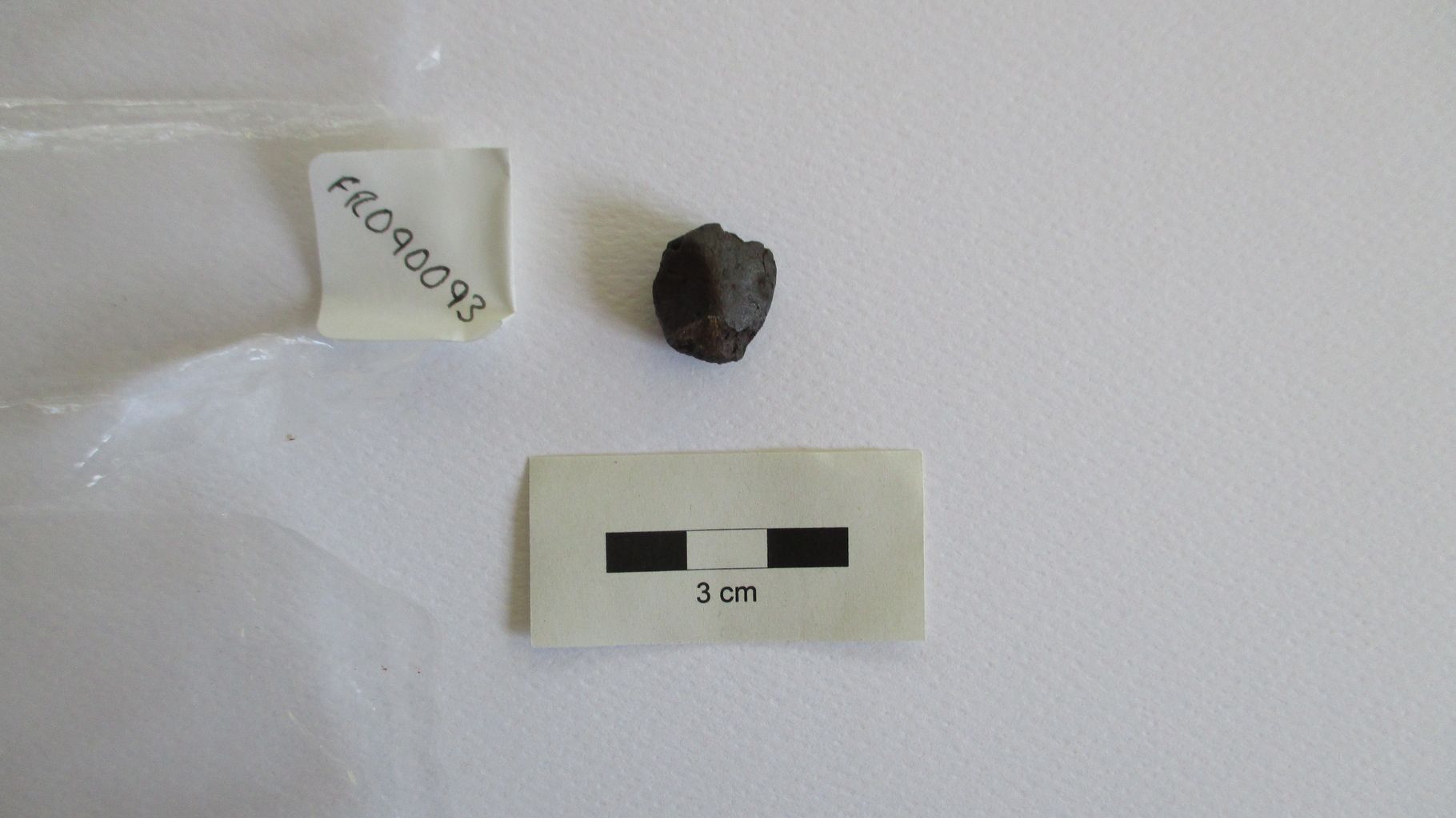 Condrite ordinaria (esemplare)