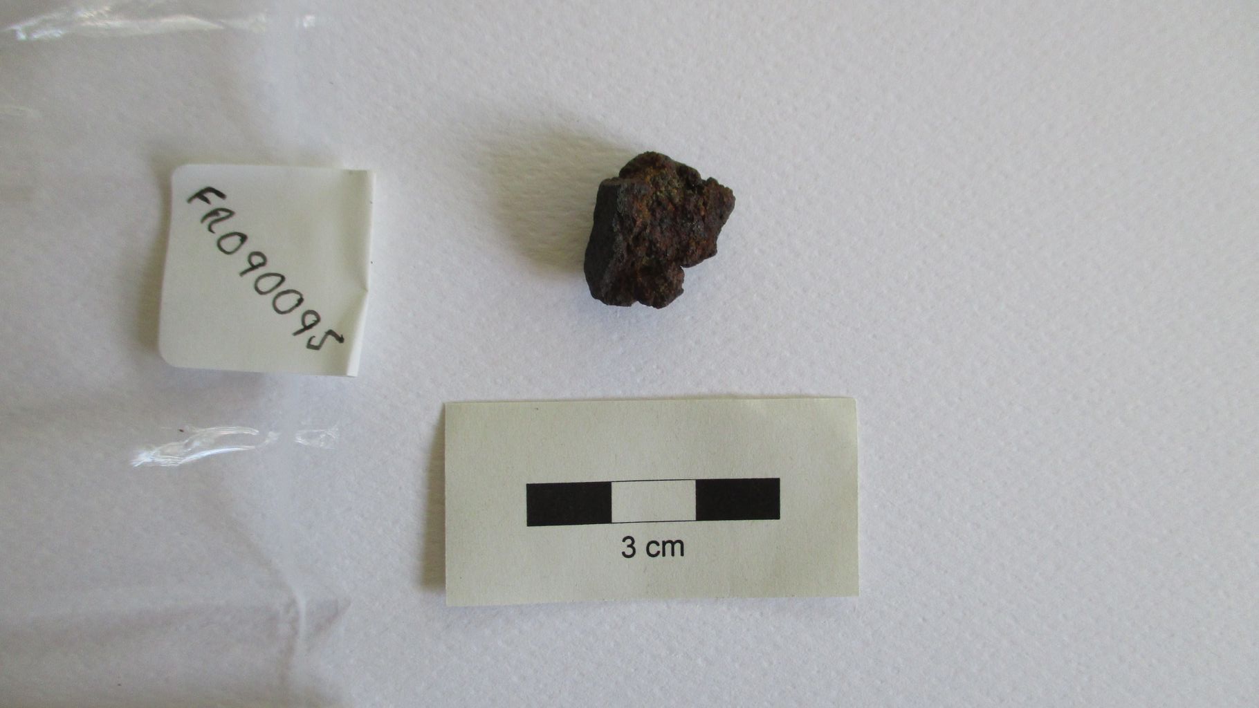 Condrite ordinaria (esemplare)