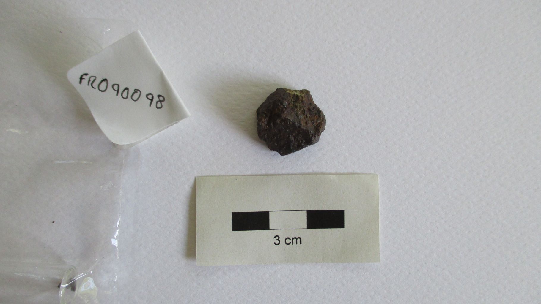 Condrite ordinaria (esemplare)