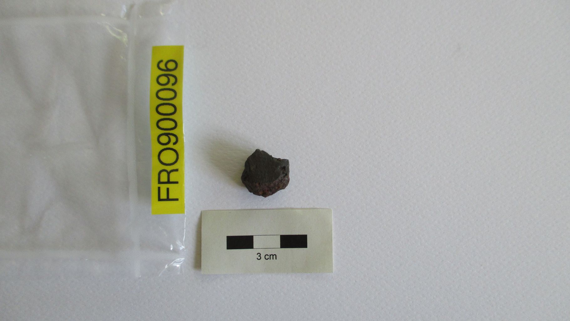 Condrite ordinaria (esemplare)