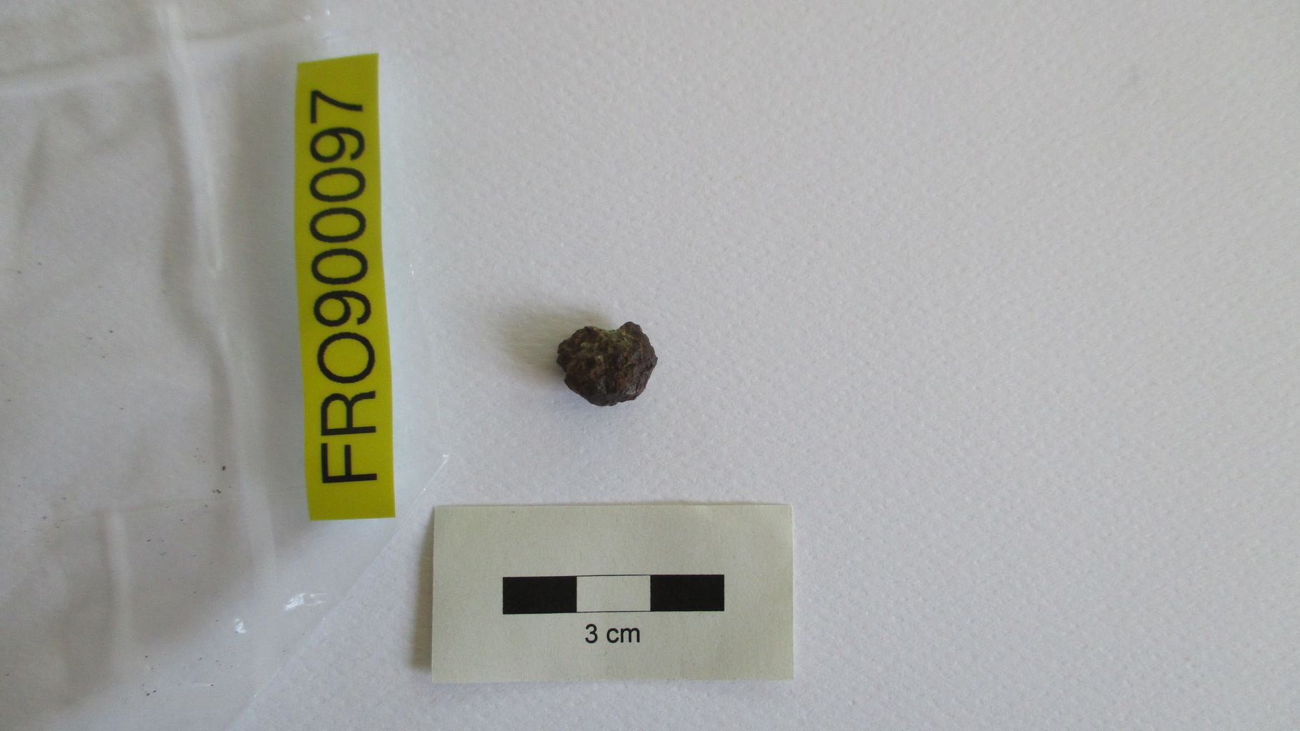 Condrite ordinaria (esemplare)