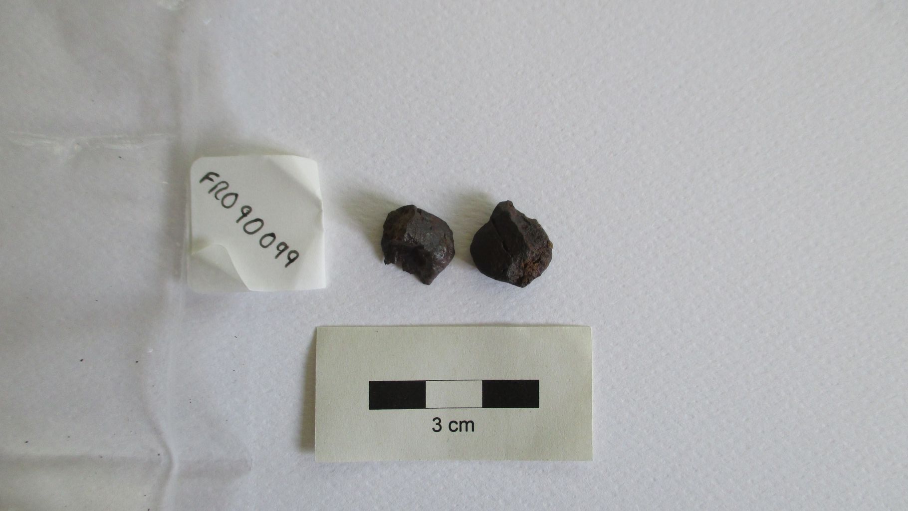 Condrite ordinaria (esemplare)