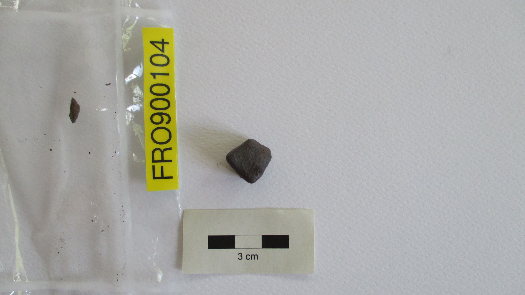 Condrite ordinaria (esemplare)