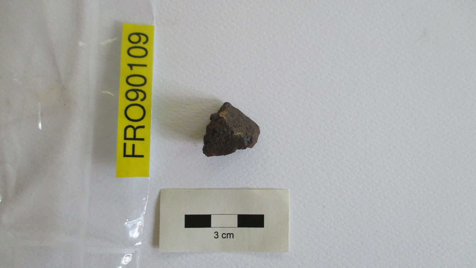 Condrite ordinaria (esemplare)